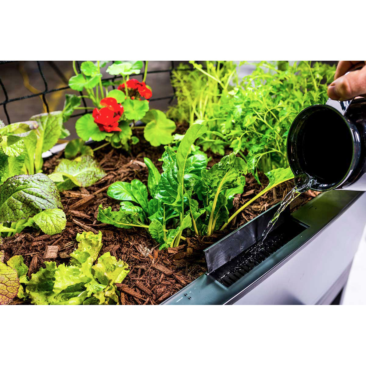 Enlarge Product Preview 5