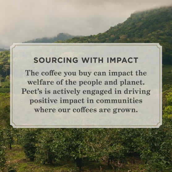 Play Product Video 1