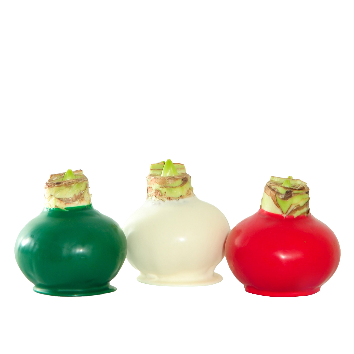 Enlarge Product Preview 4 Successfully Enriched by automation Job.