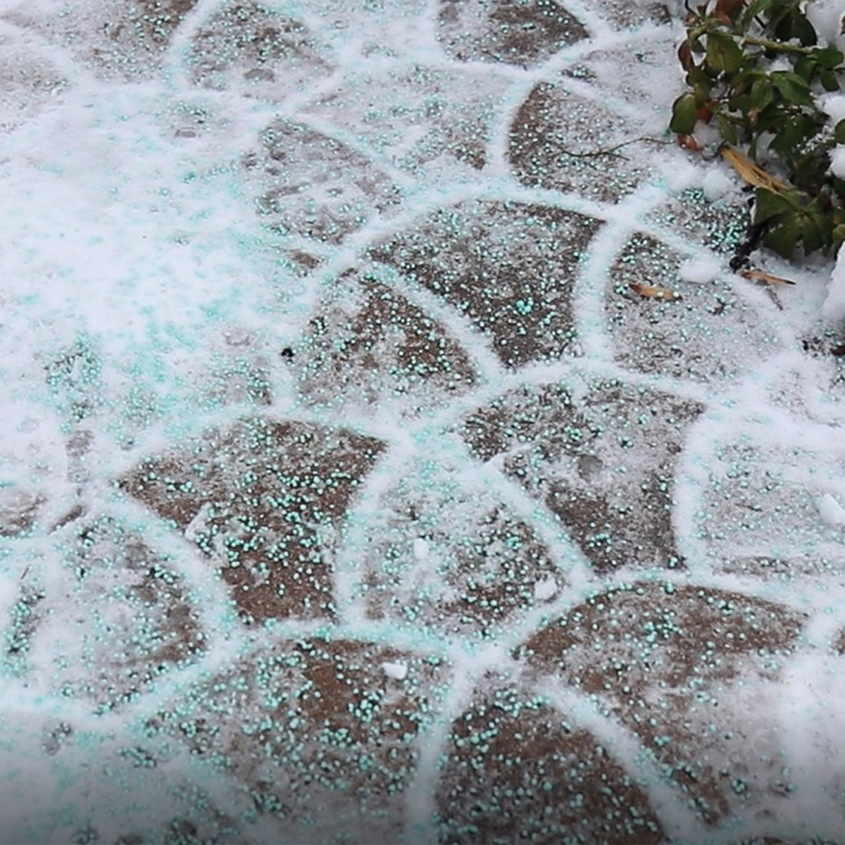 Enlarge Product Preview 5