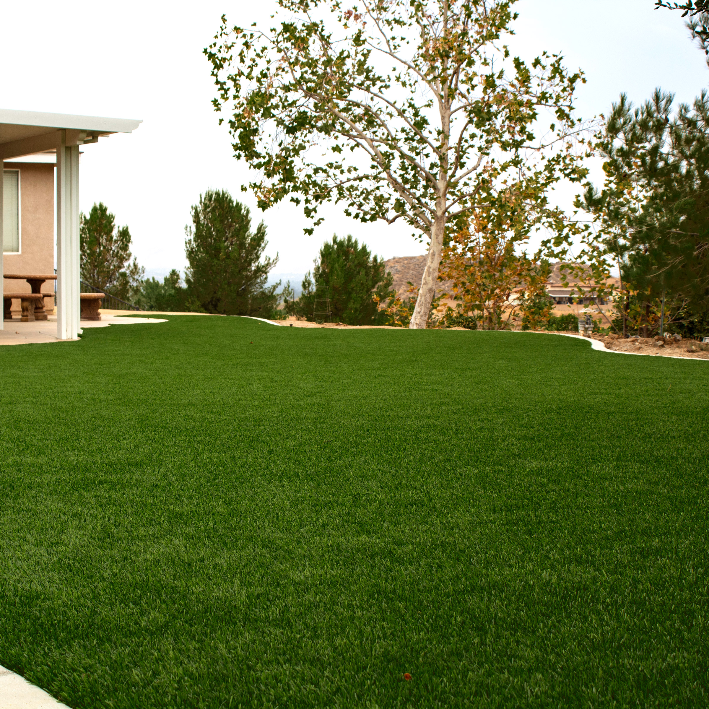 Enlarge Product Preview 3