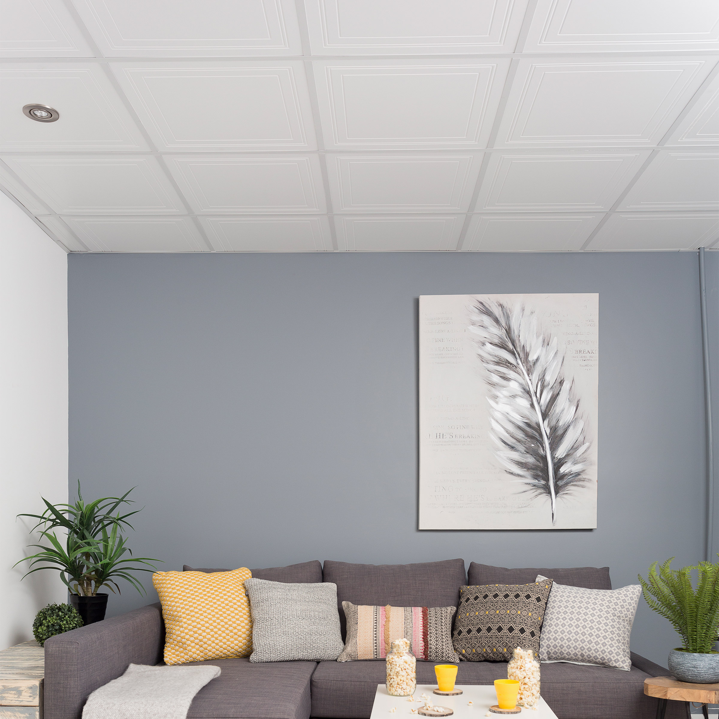 Mono Serra Quatro 24 in. × 24 in. Ceiling Tiles, Encore