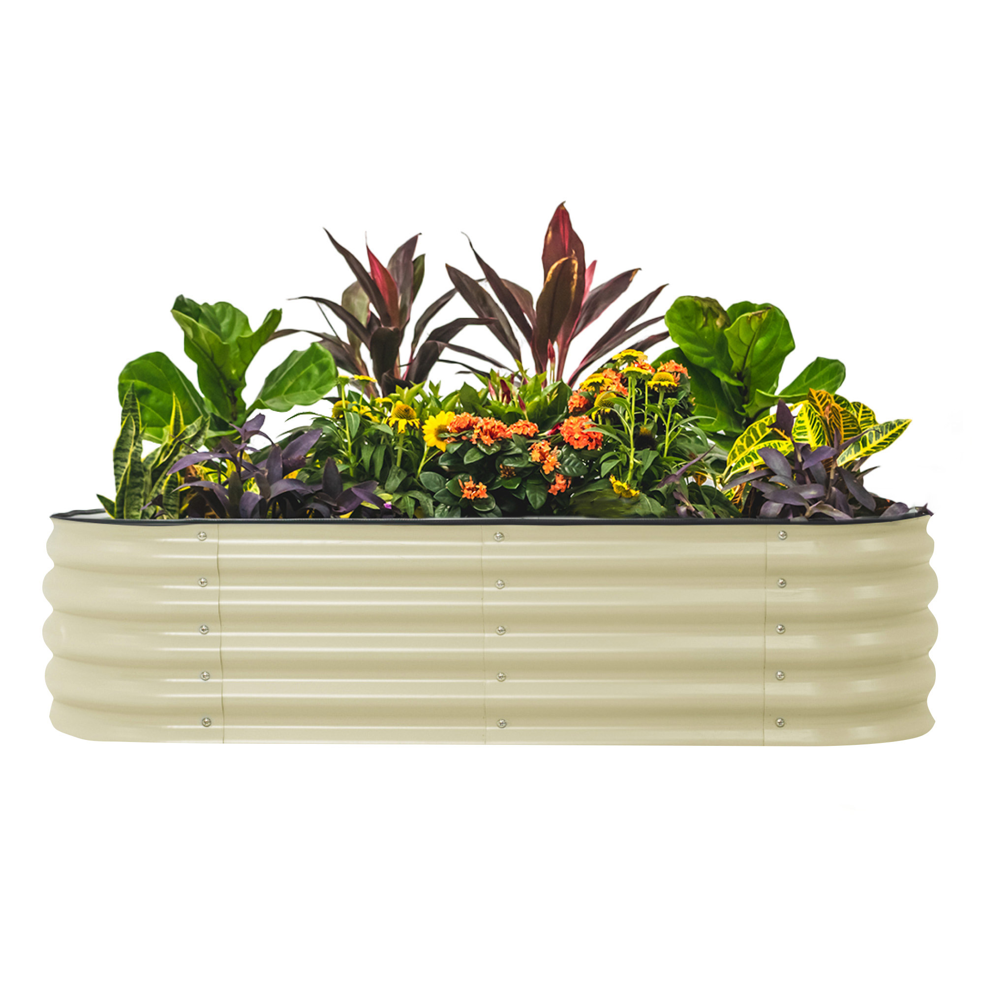 Enlarge Product Preview 2 Successfully Enriched by automation Job.