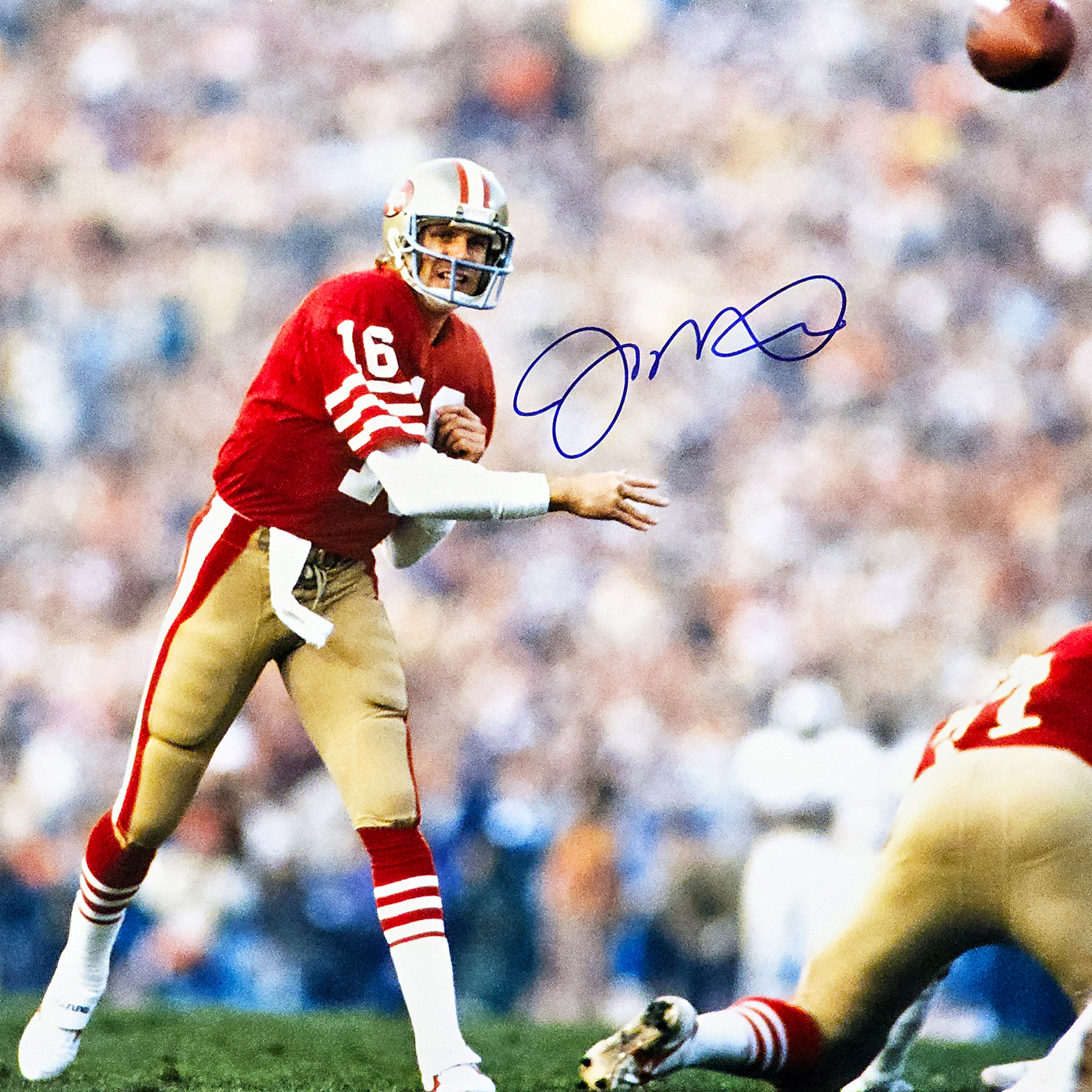 Enlarge Product Preview 2 Successfully Enriched by automation Job.