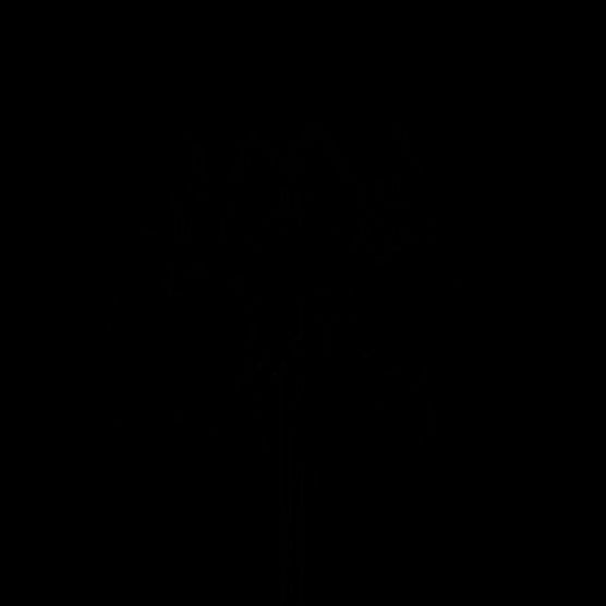 Play Product Video 1