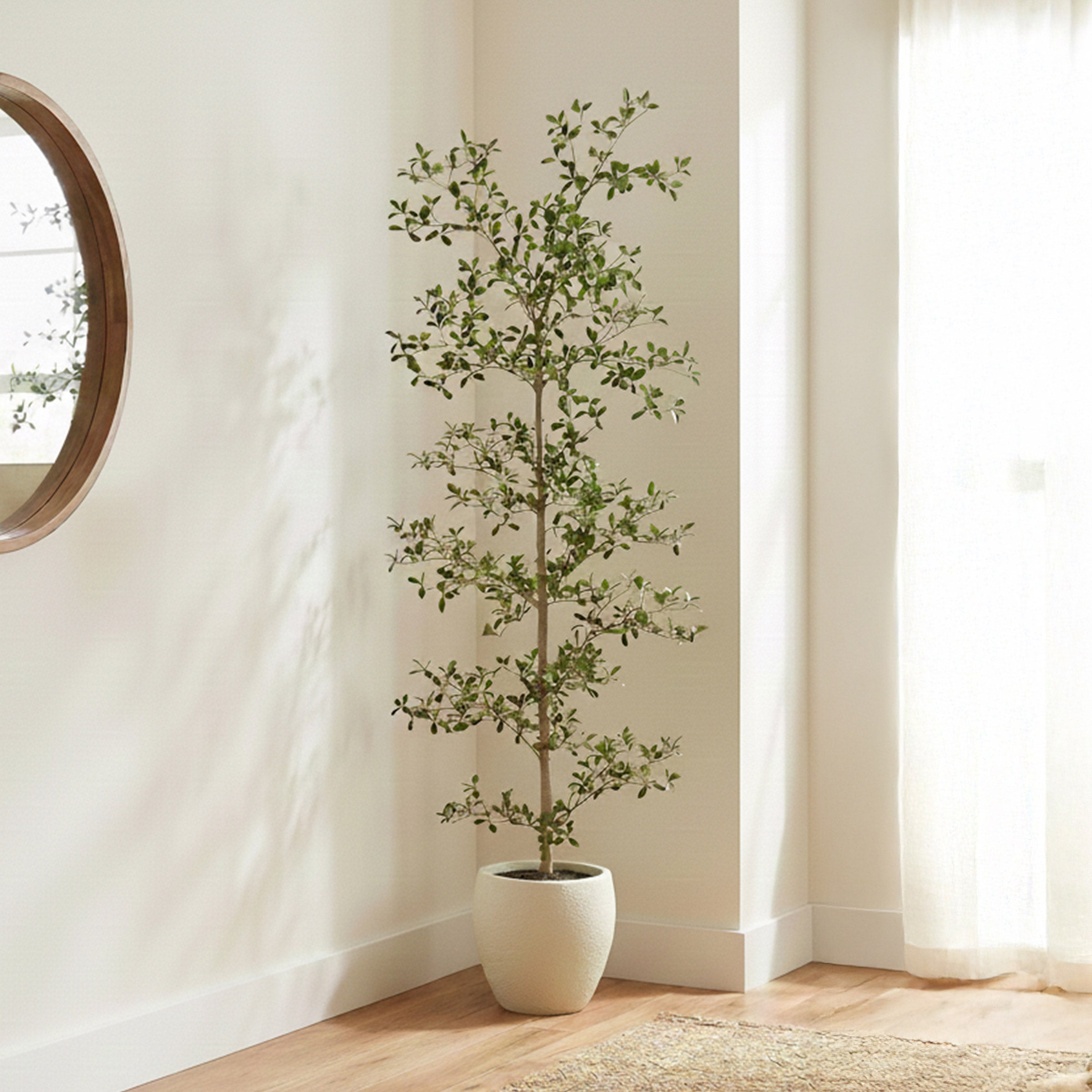 Faux 6.5’ Black Olive Tree