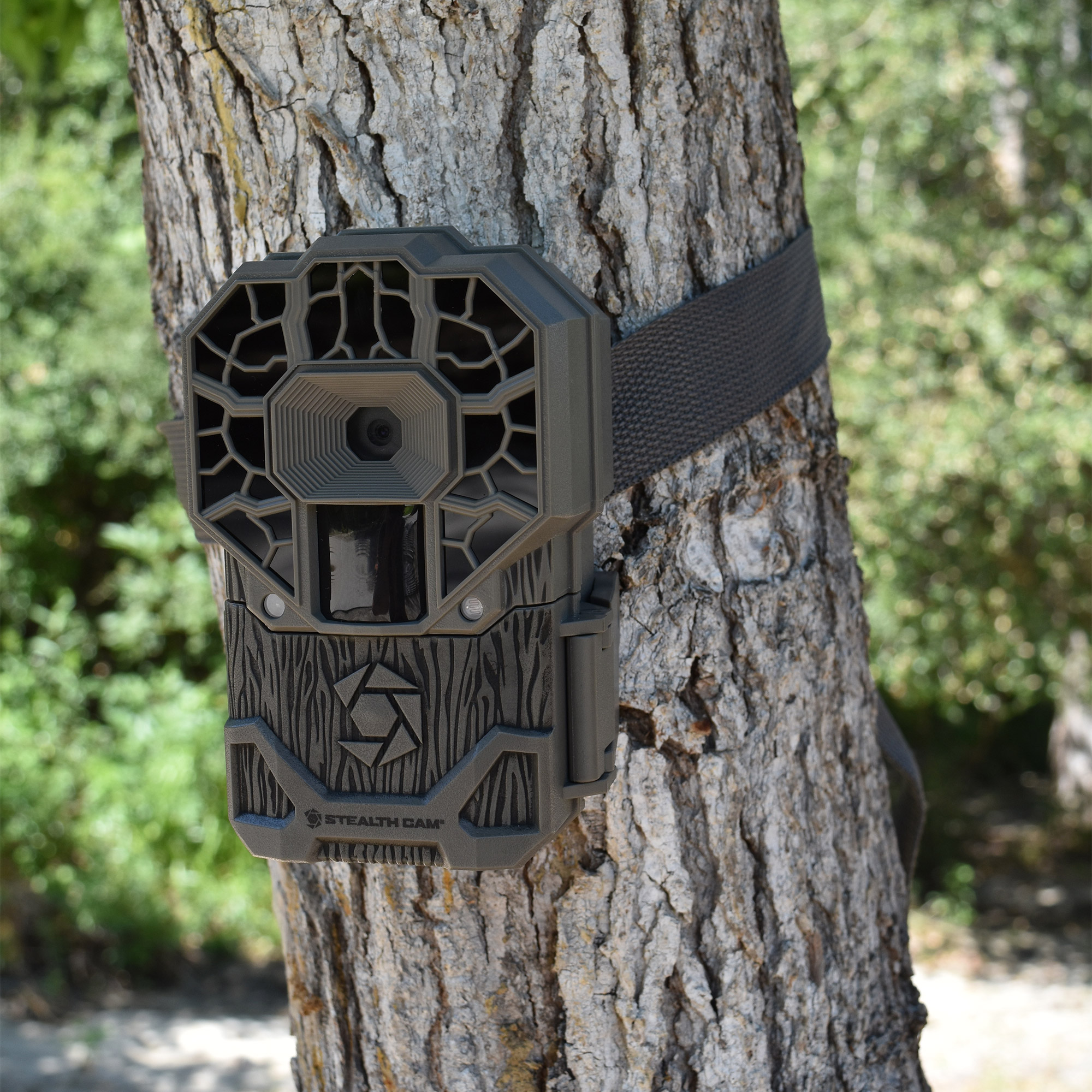 Enlarge Product Preview 3