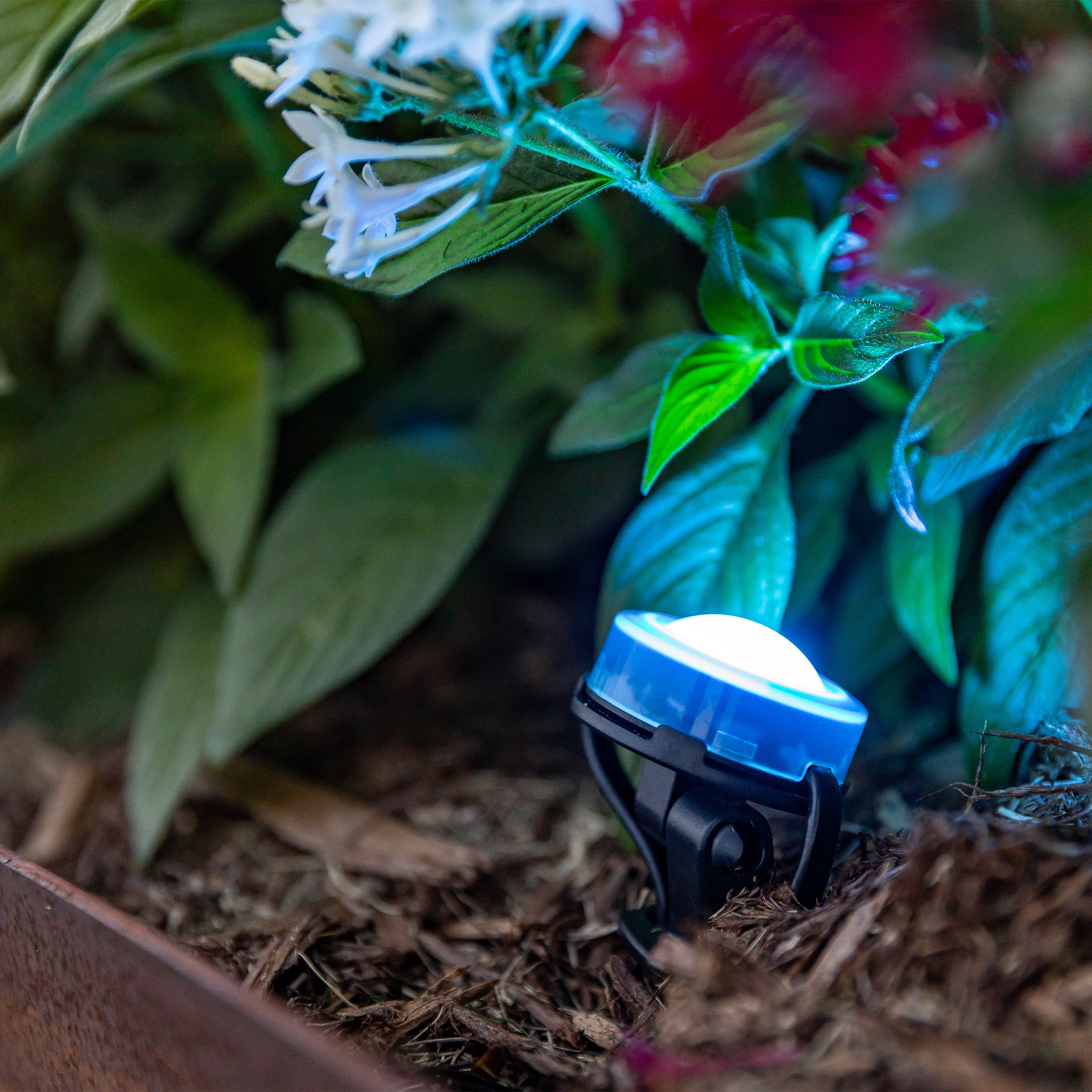 Enlarge Product Preview 4 Successfully Enriched by automation Job.