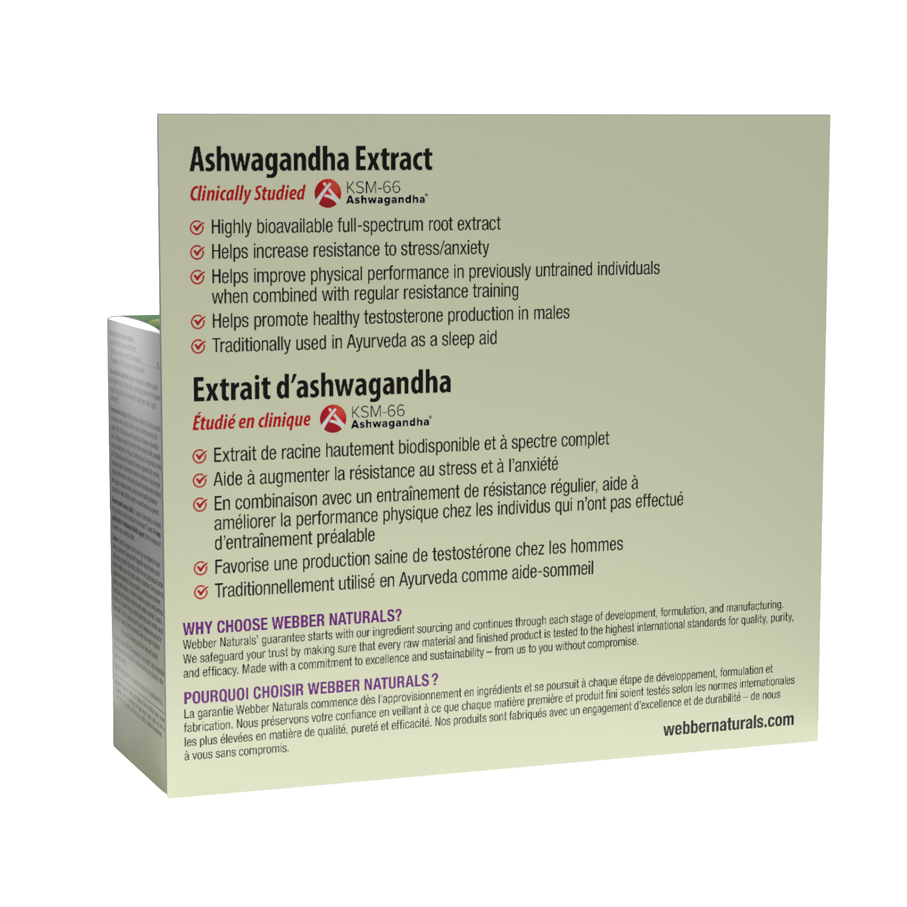 Agrandir l’aperçu du produit 5