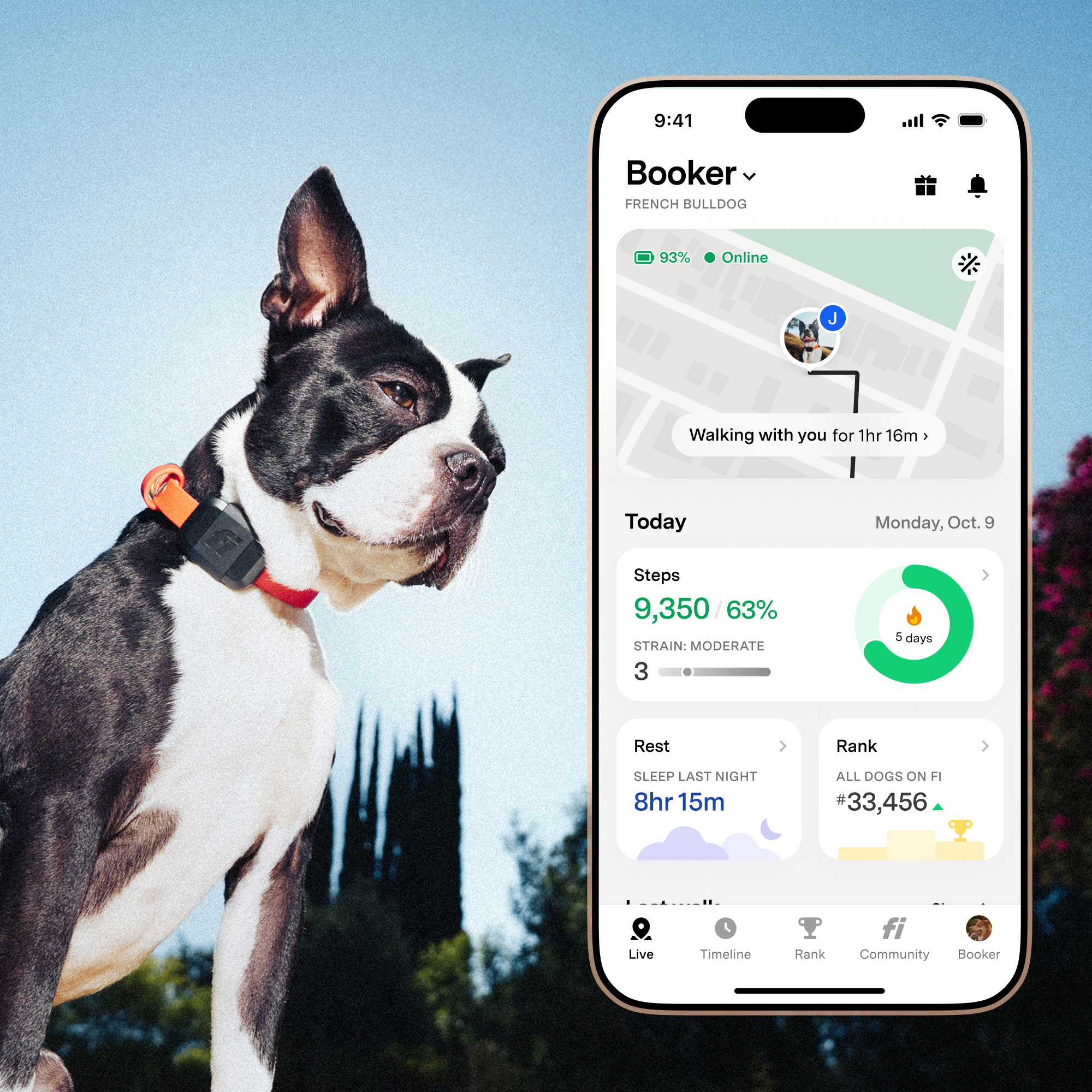 Enlarge Product Preview 2