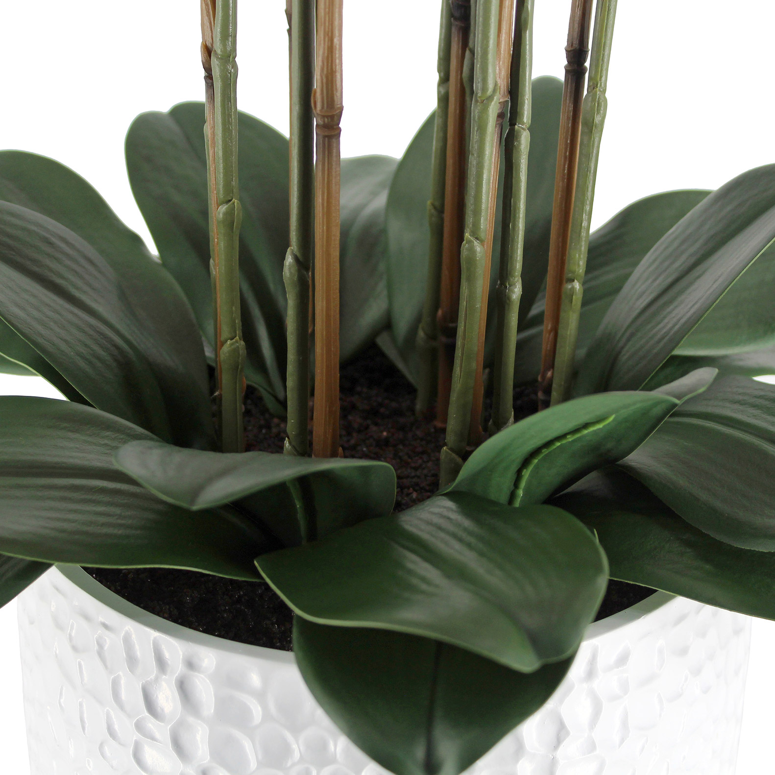 Enlarge Product Preview 4 Successfully Enriched by automation Job.