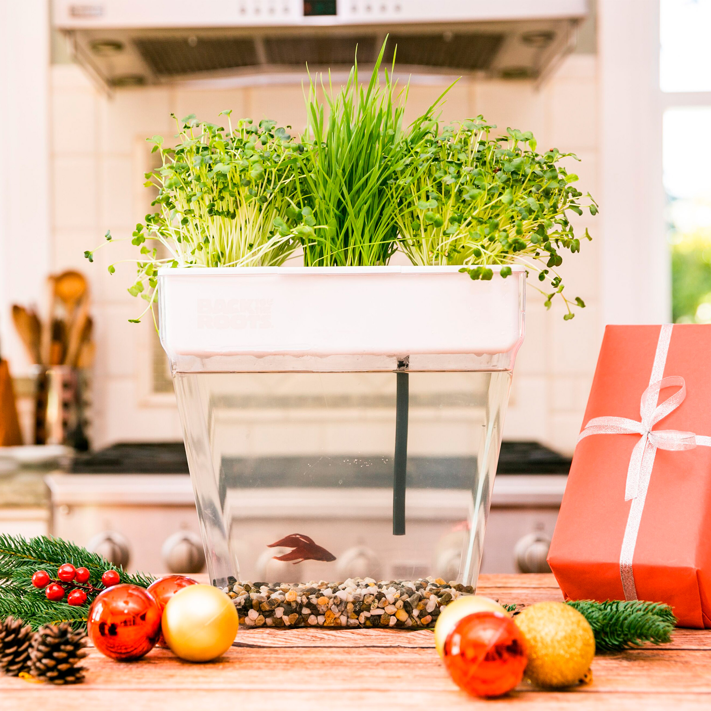 Enlarge Product Preview 4