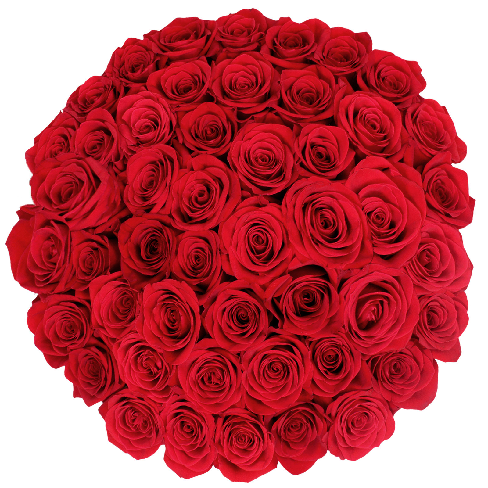 Roses, 48 Stems, Red