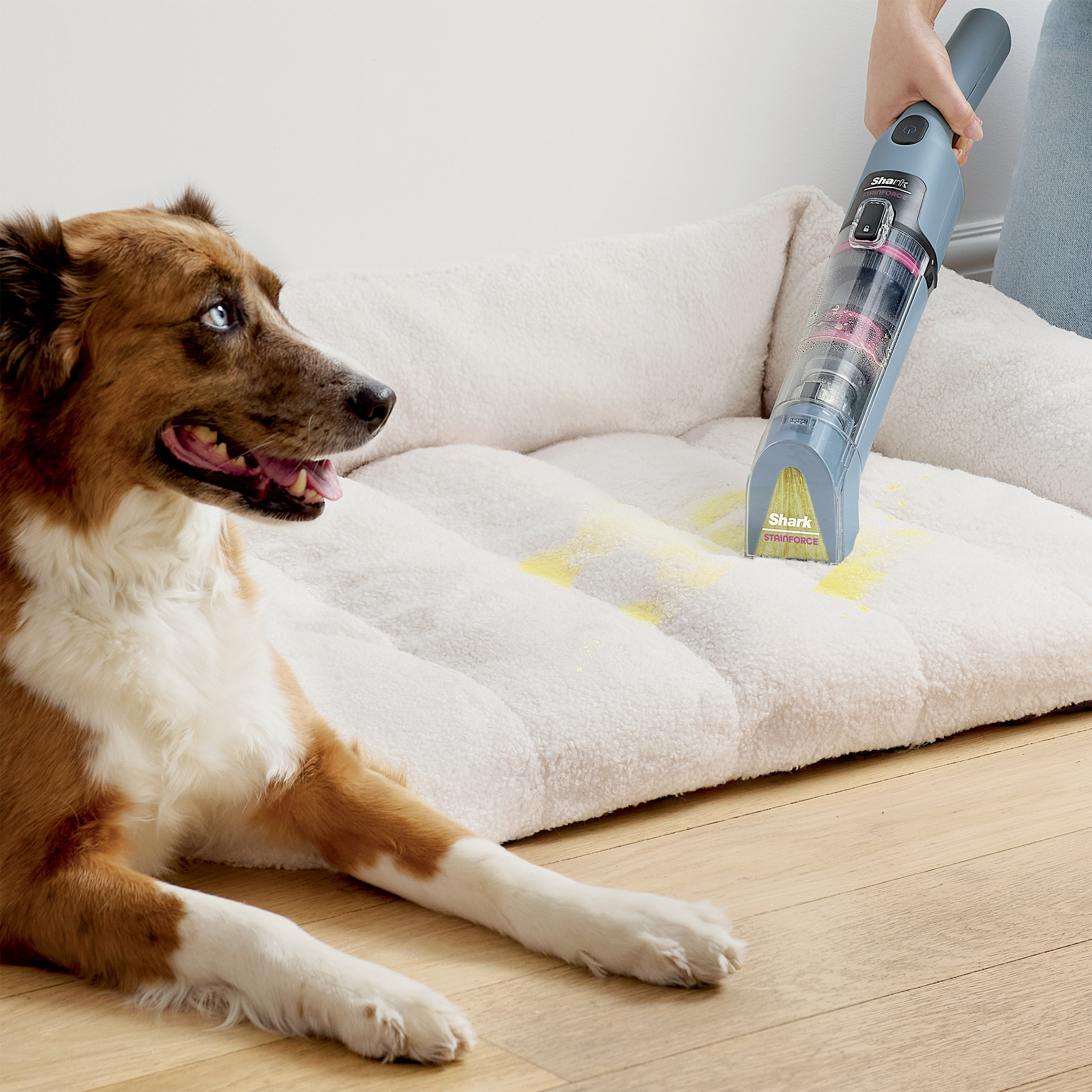 Enlarge Product Preview 6 Successfully Enriched by automation Job.