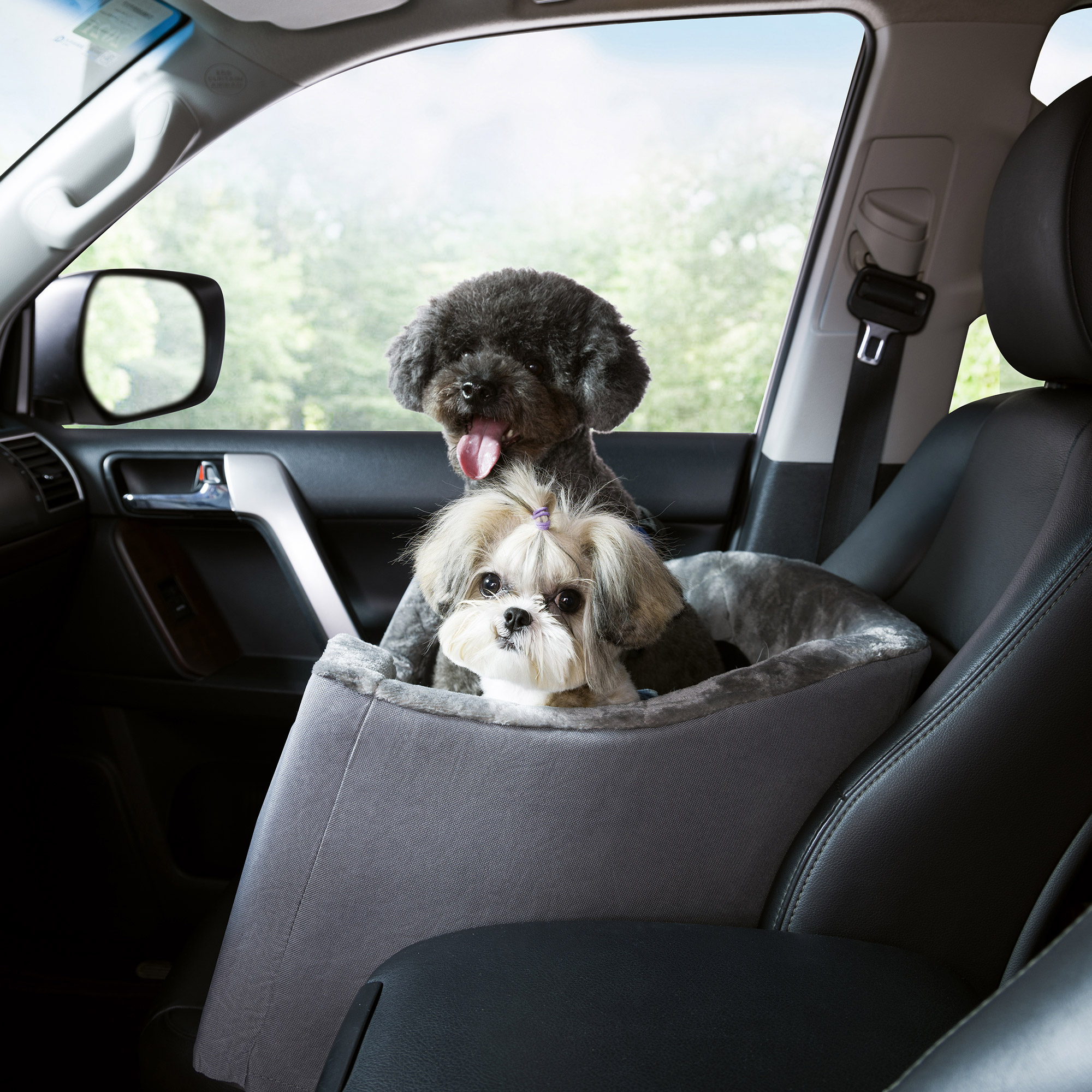 Enlarge Product Preview 4