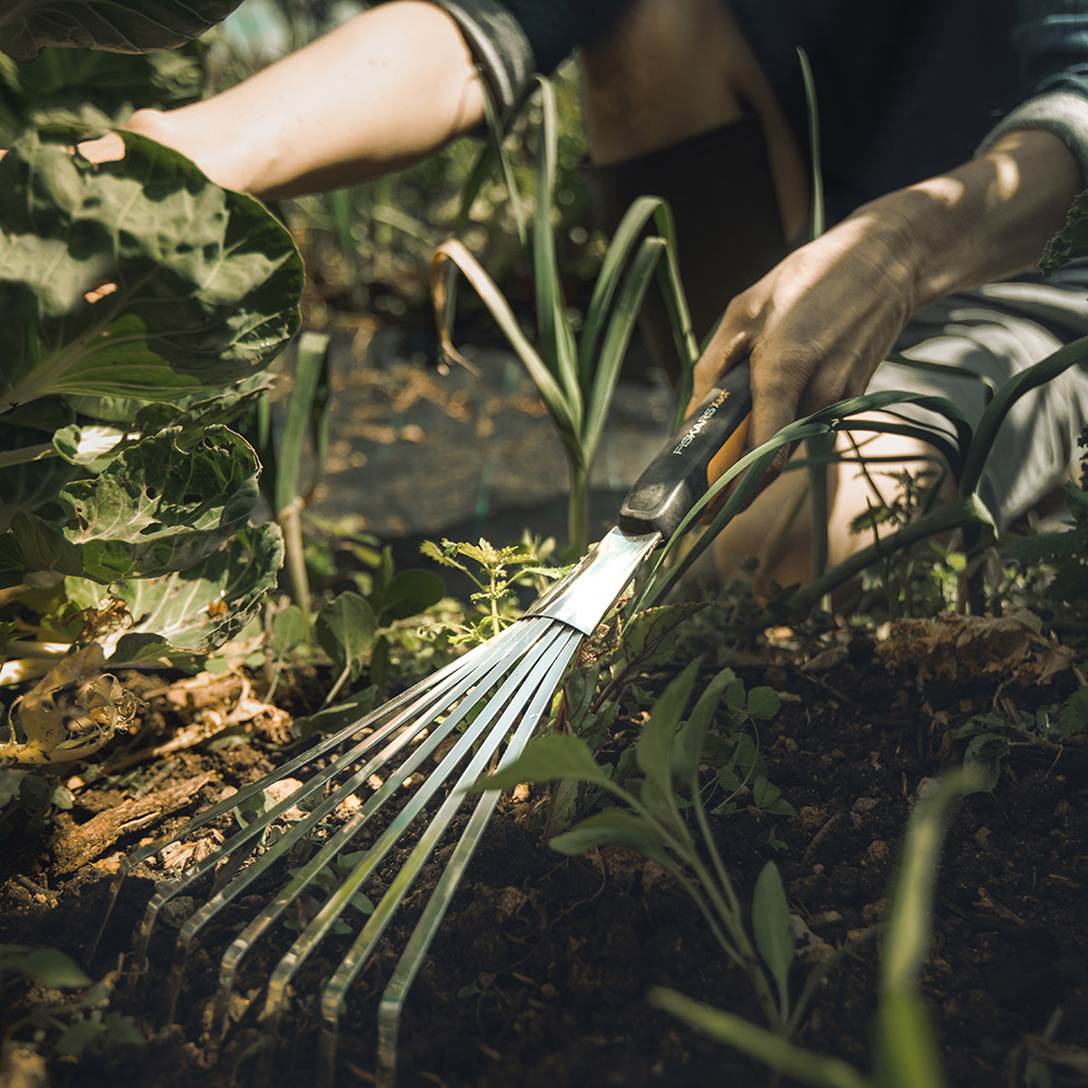 Enlarge Product Preview 5