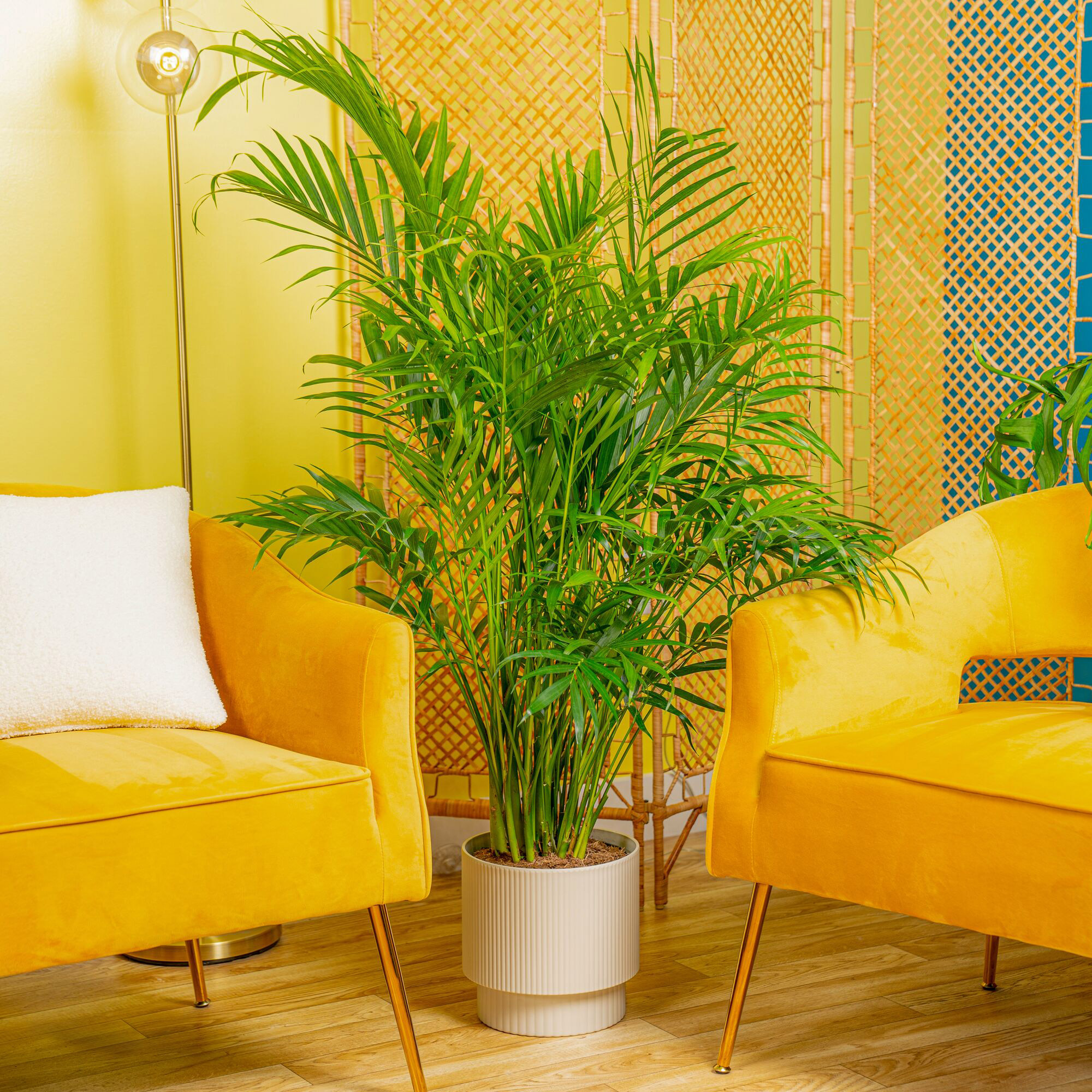 Enlarge Product Preview 2 Successfully Enriched by automation Job.