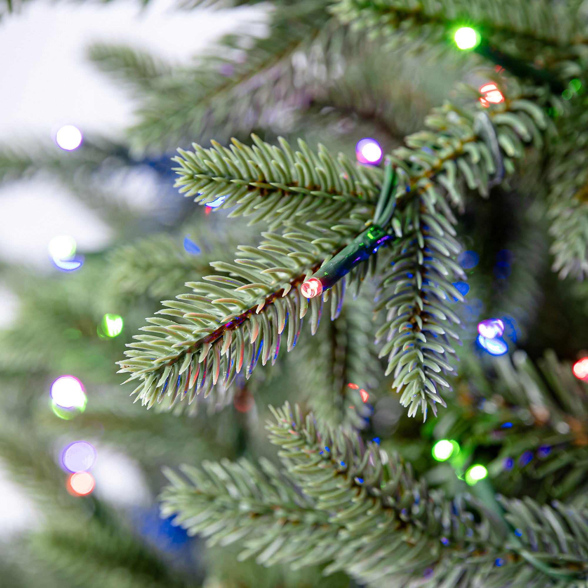 Enlarge Product Preview 8 Successfully Enriched by automation Job.