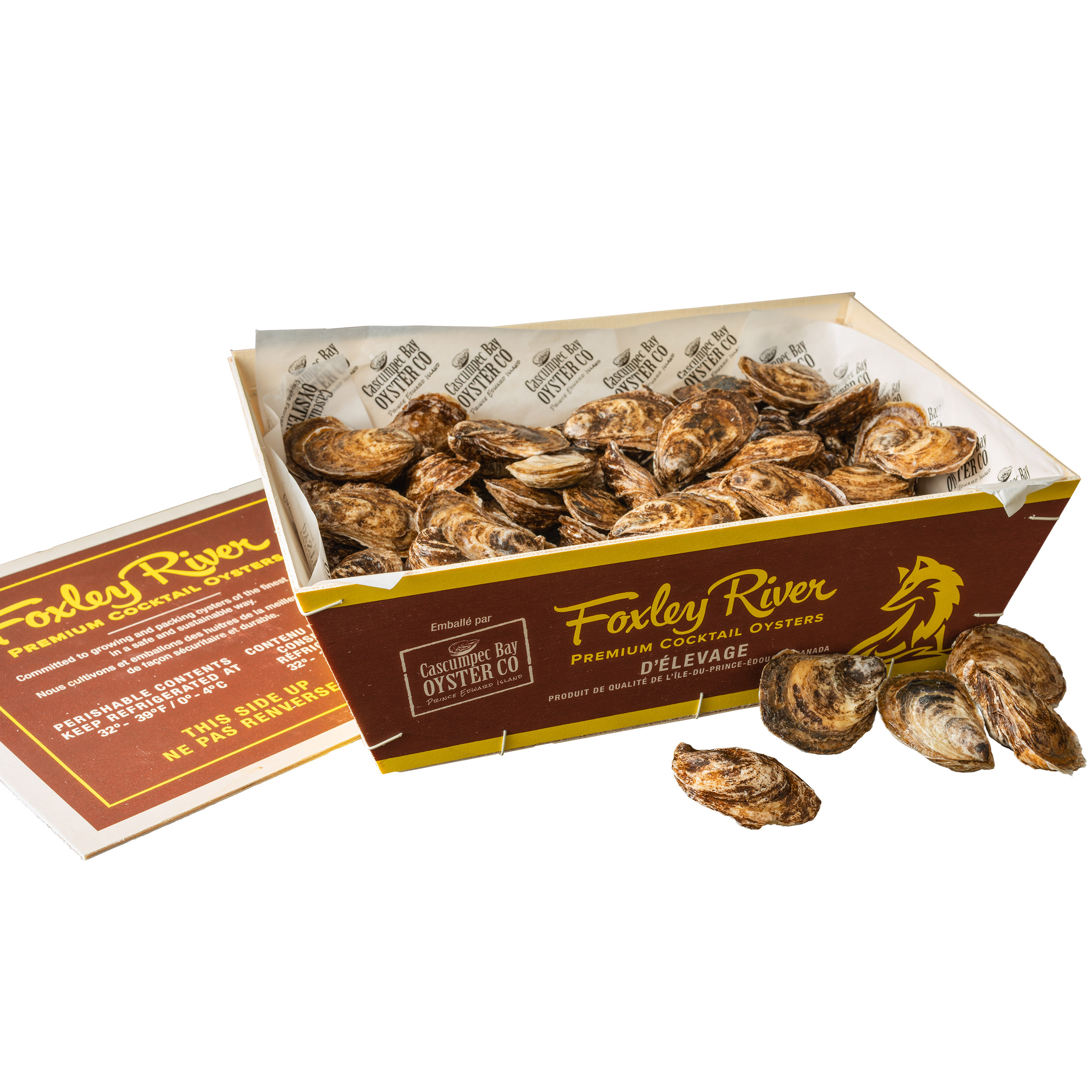 Foxley River Premium Cocktail Oysters, 100 × 2.5 in. to 3 in.