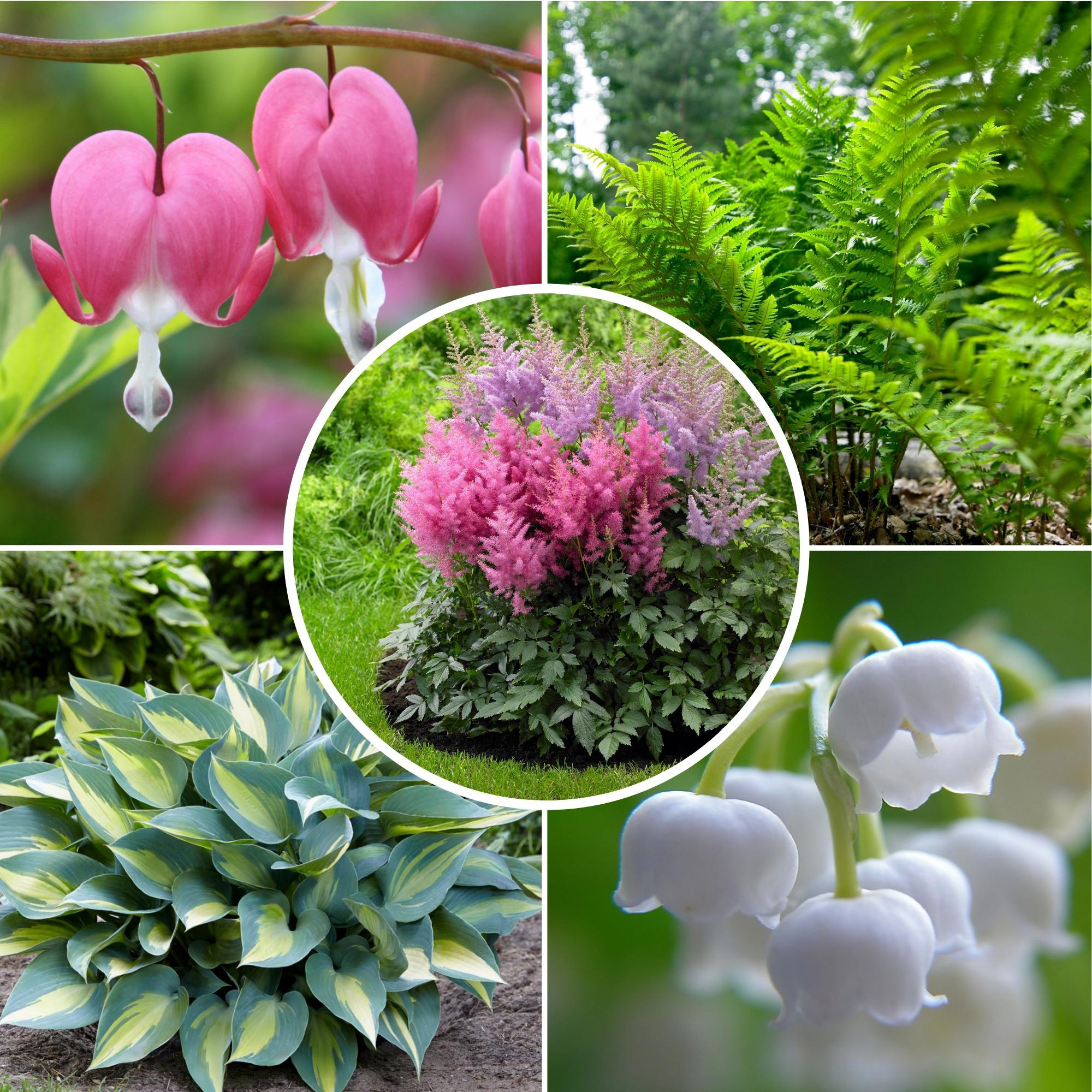 Enlarge Product Preview 6