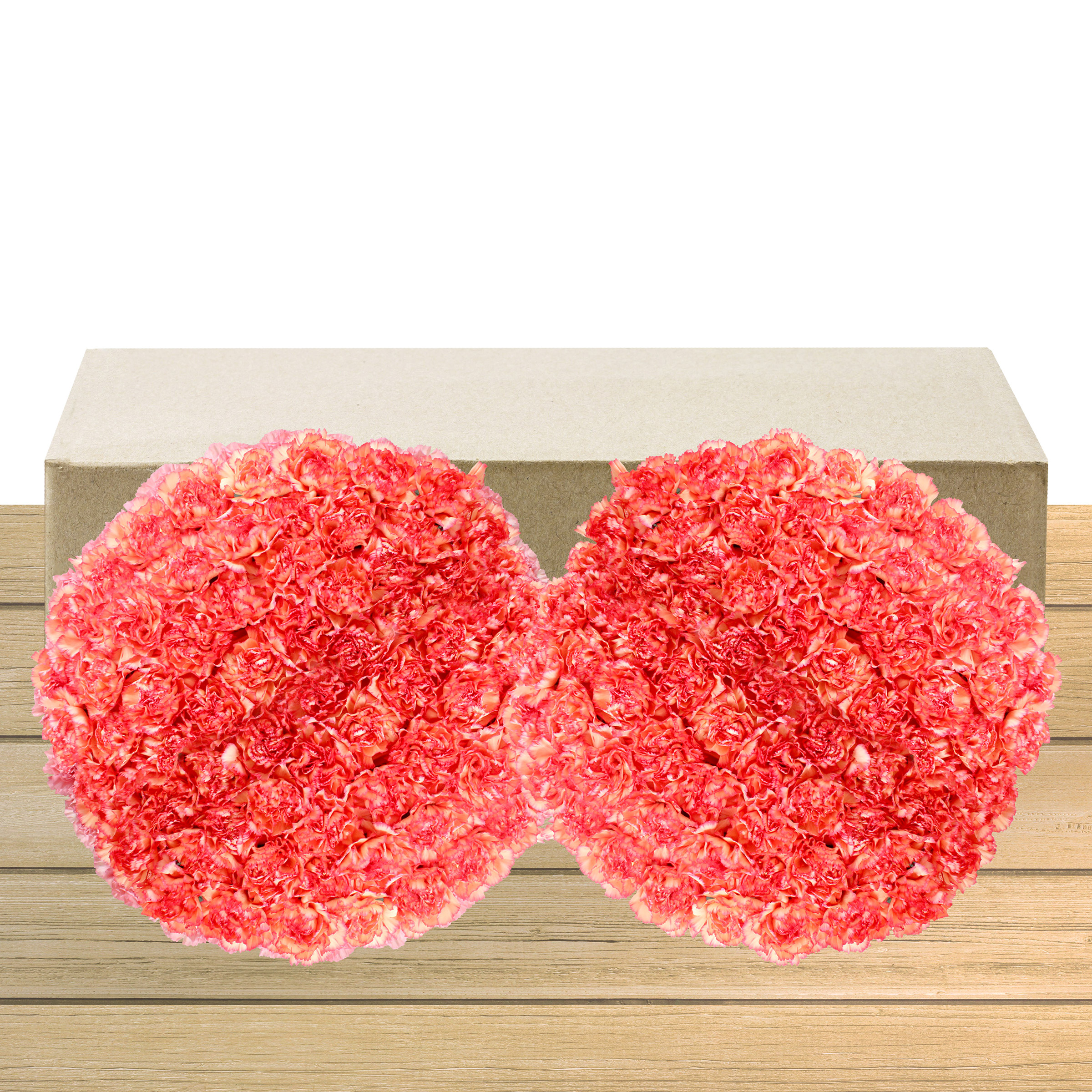 Enlarge Product Preview 2