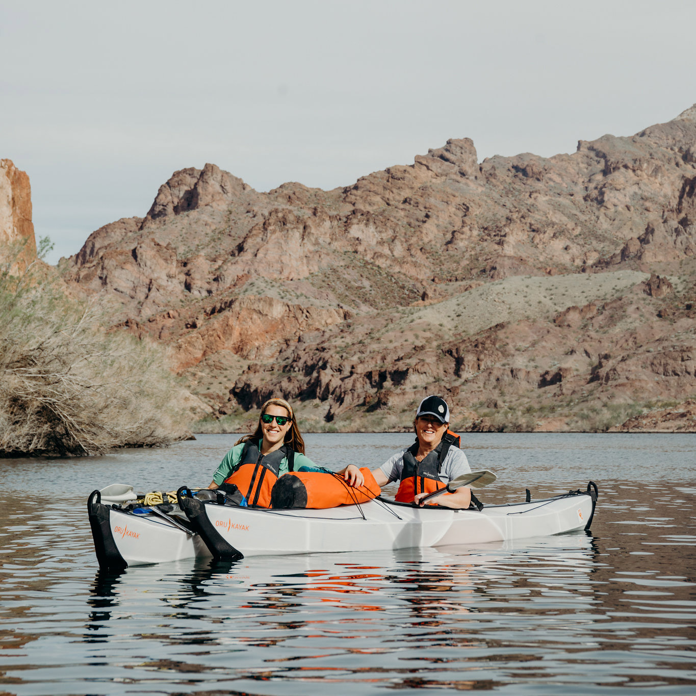 Enlarge Product Preview 6 Successfully Enriched by automation Job.