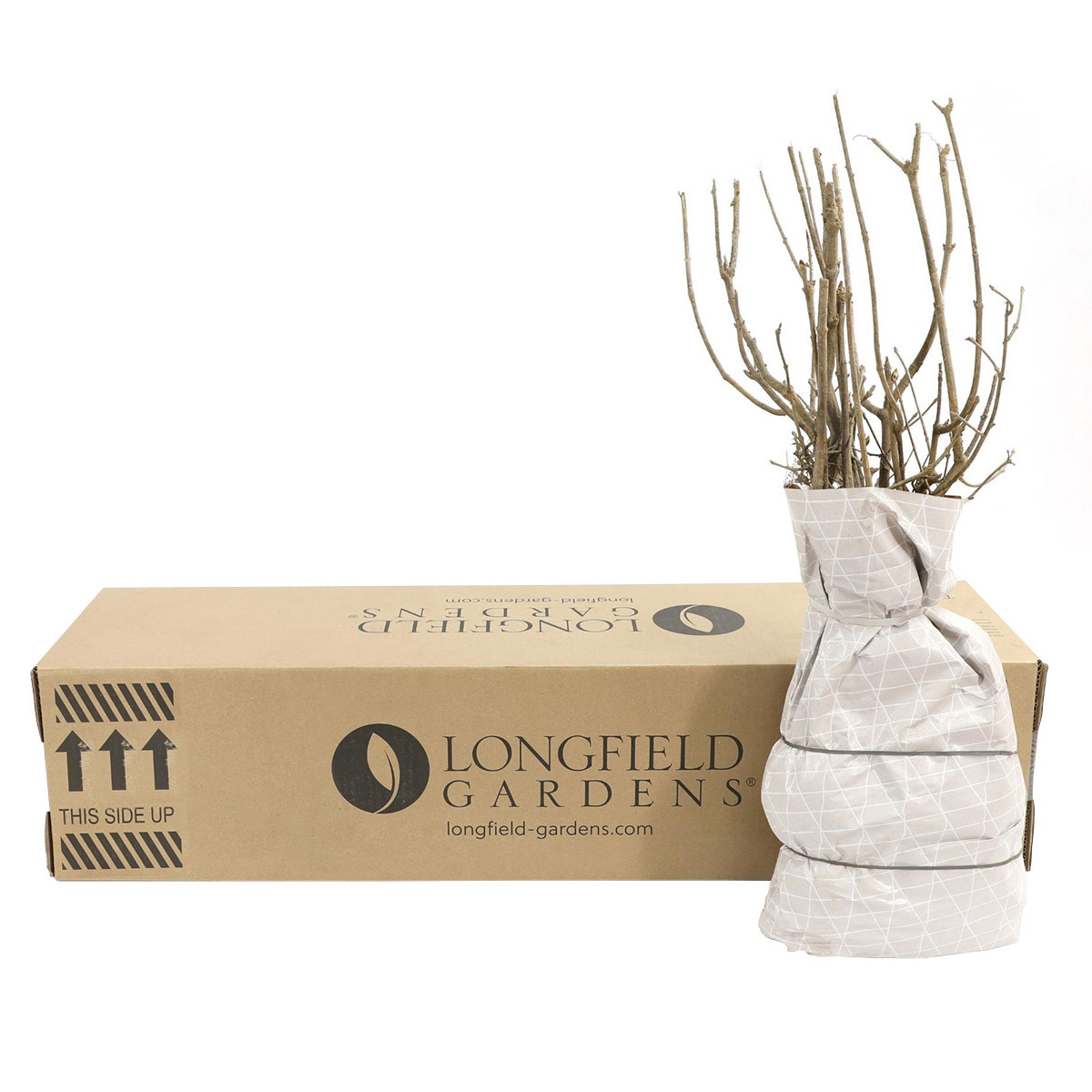 Enlarge Product Preview 4