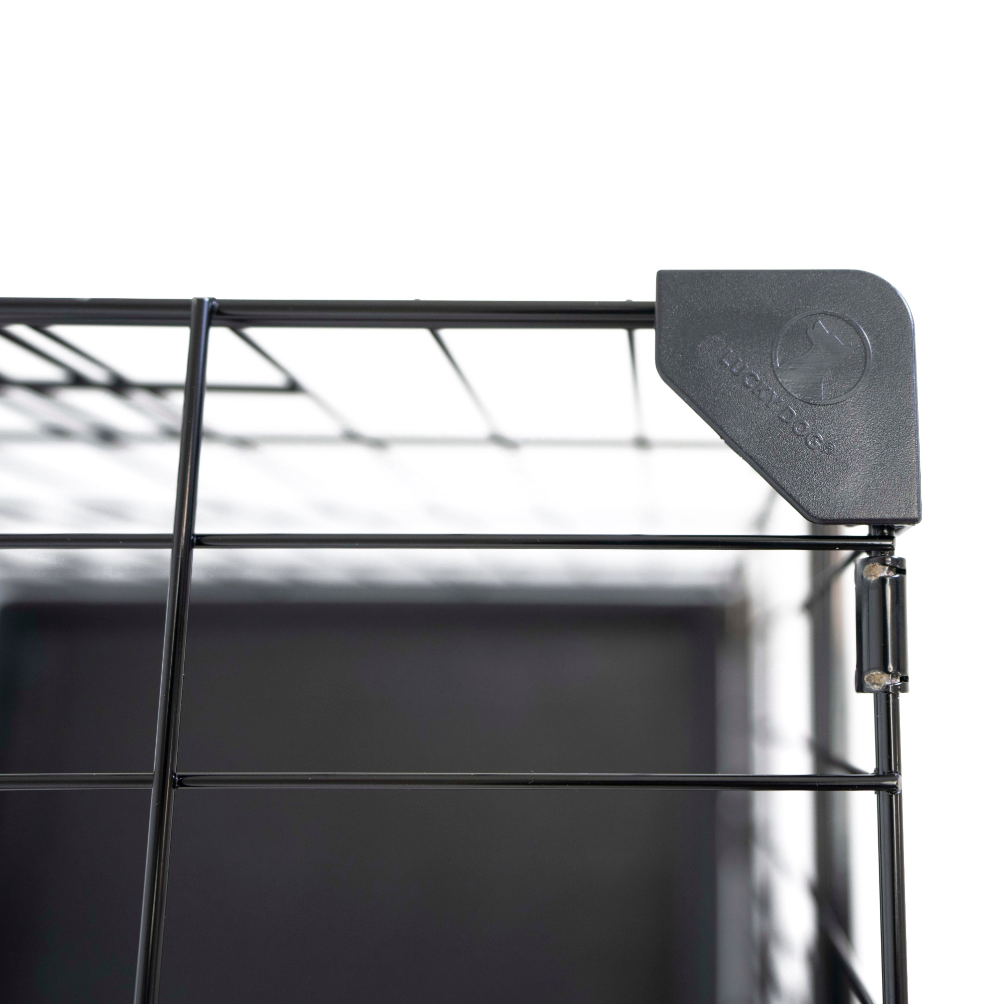 Enlarge Product Preview 6 Successfully Enriched by automation Job.