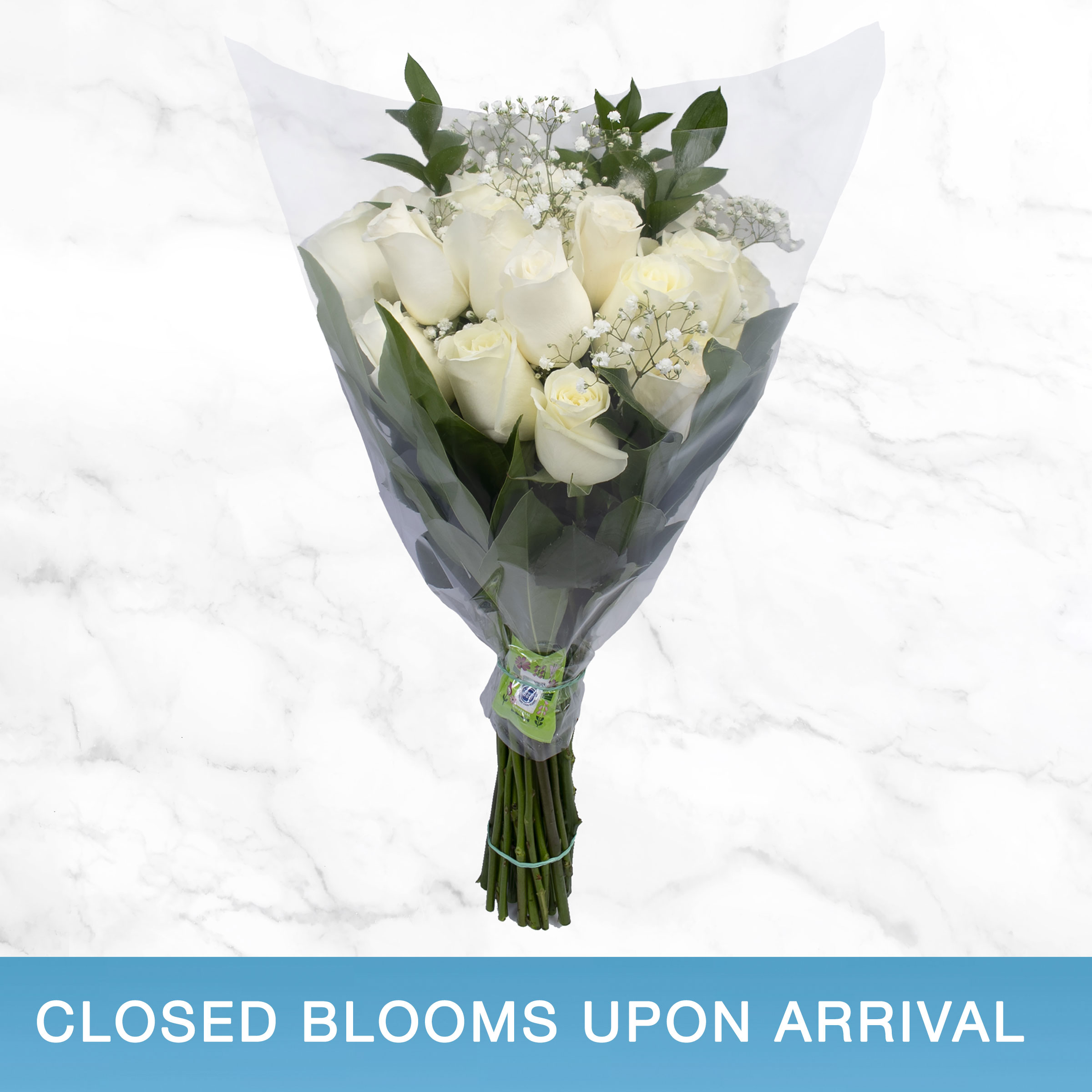 Enlarge Product Preview 2