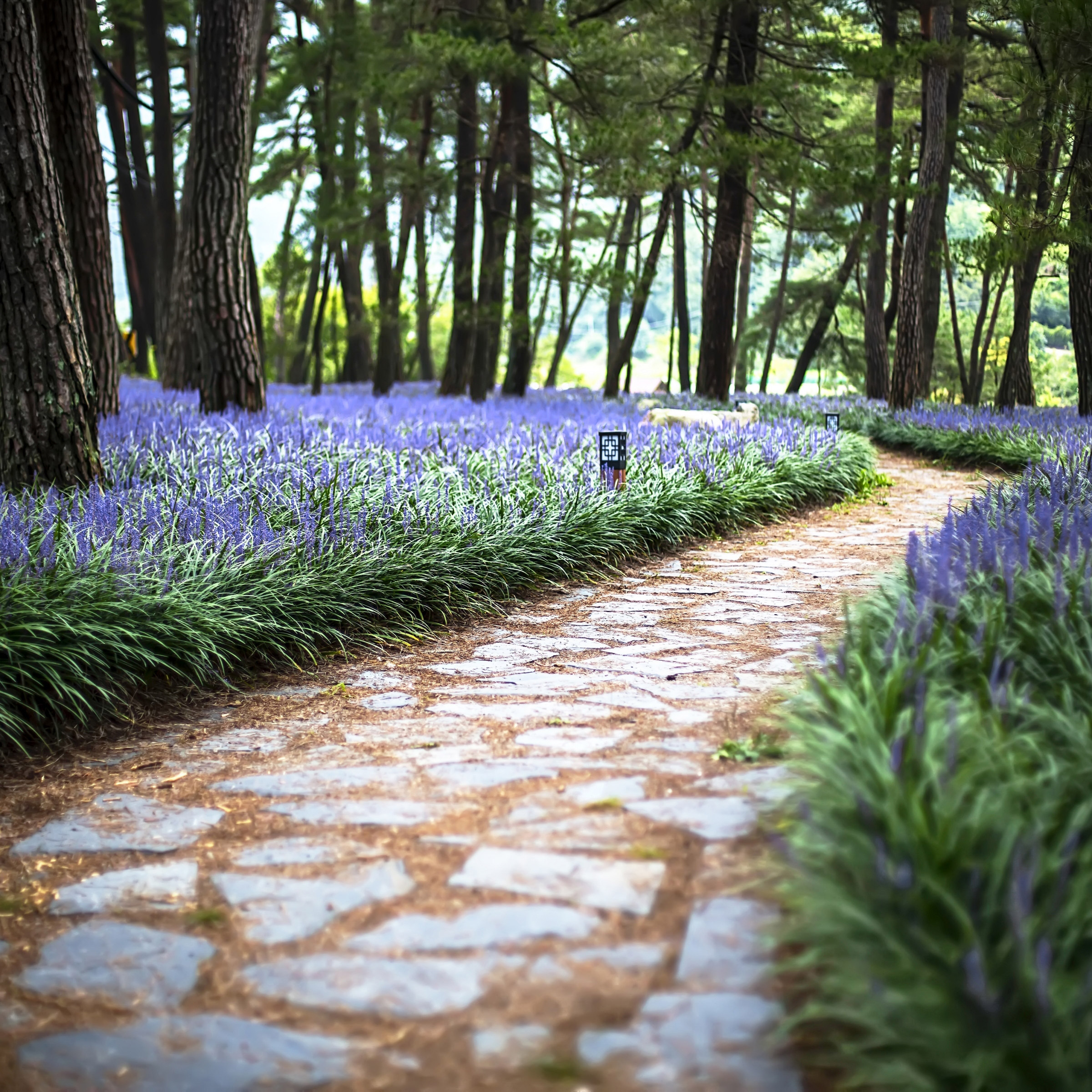 Enlarge Product Preview 2