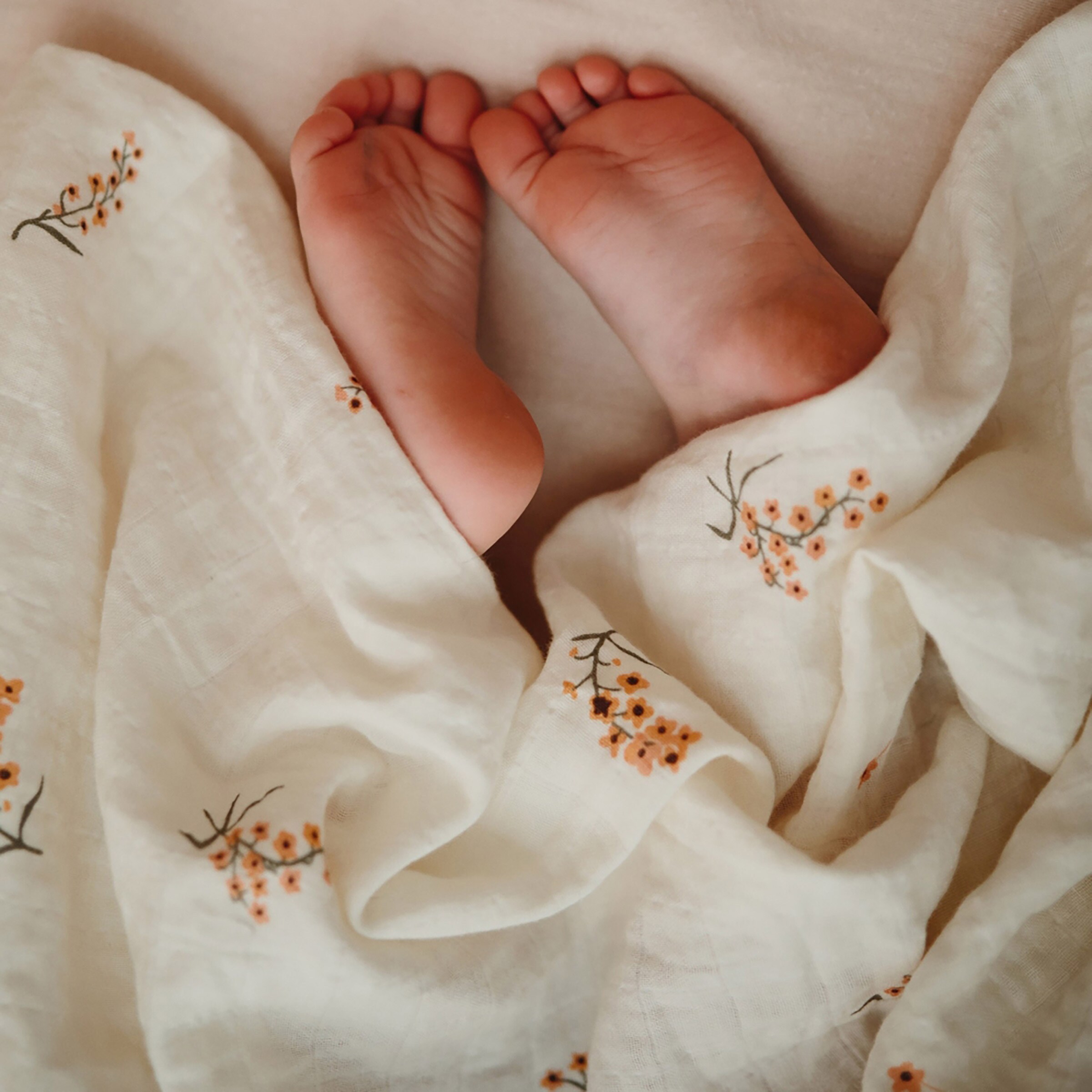 Enlarge Product Preview 6