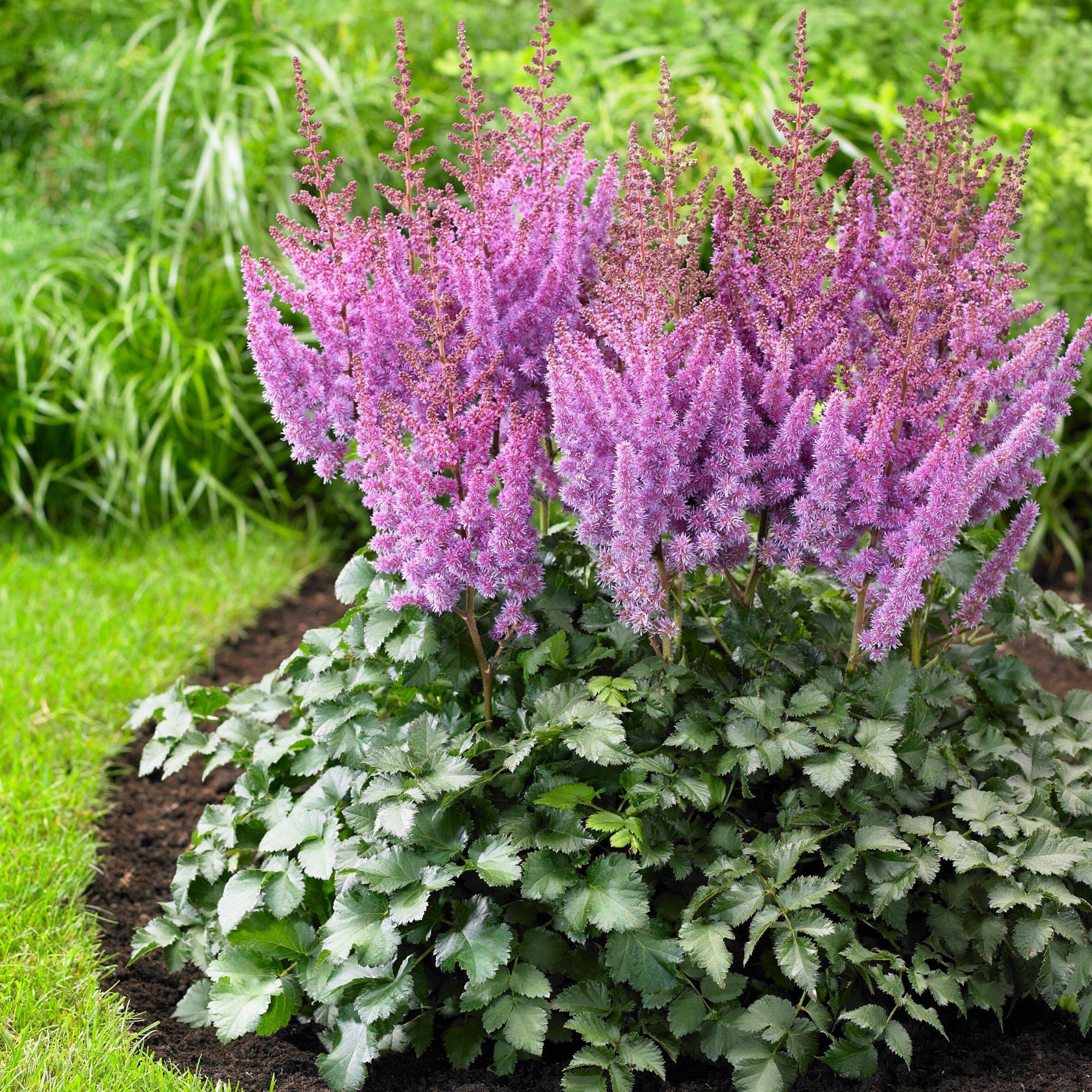 Enlarge Product Preview 7 Successfully Enriched by automation Job.