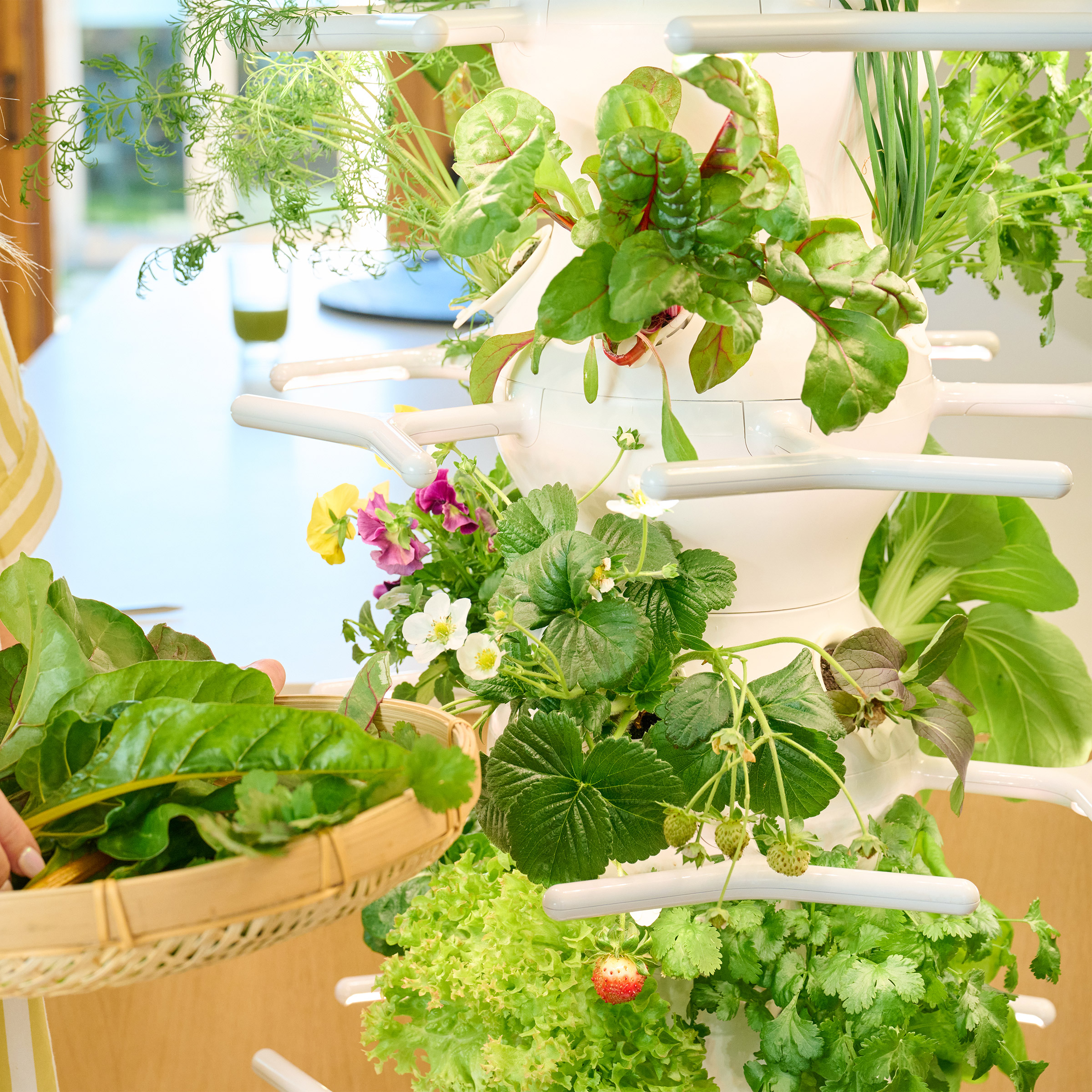 Enlarge Product Preview 7 Successfully Enriched by automation Job.