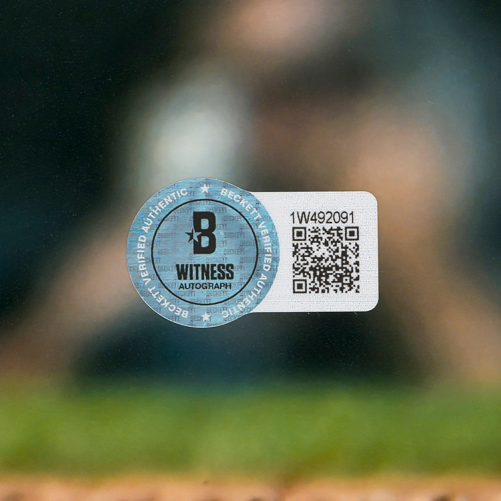 Enlarge Product Preview 4 Successfully Enriched by automation Job.