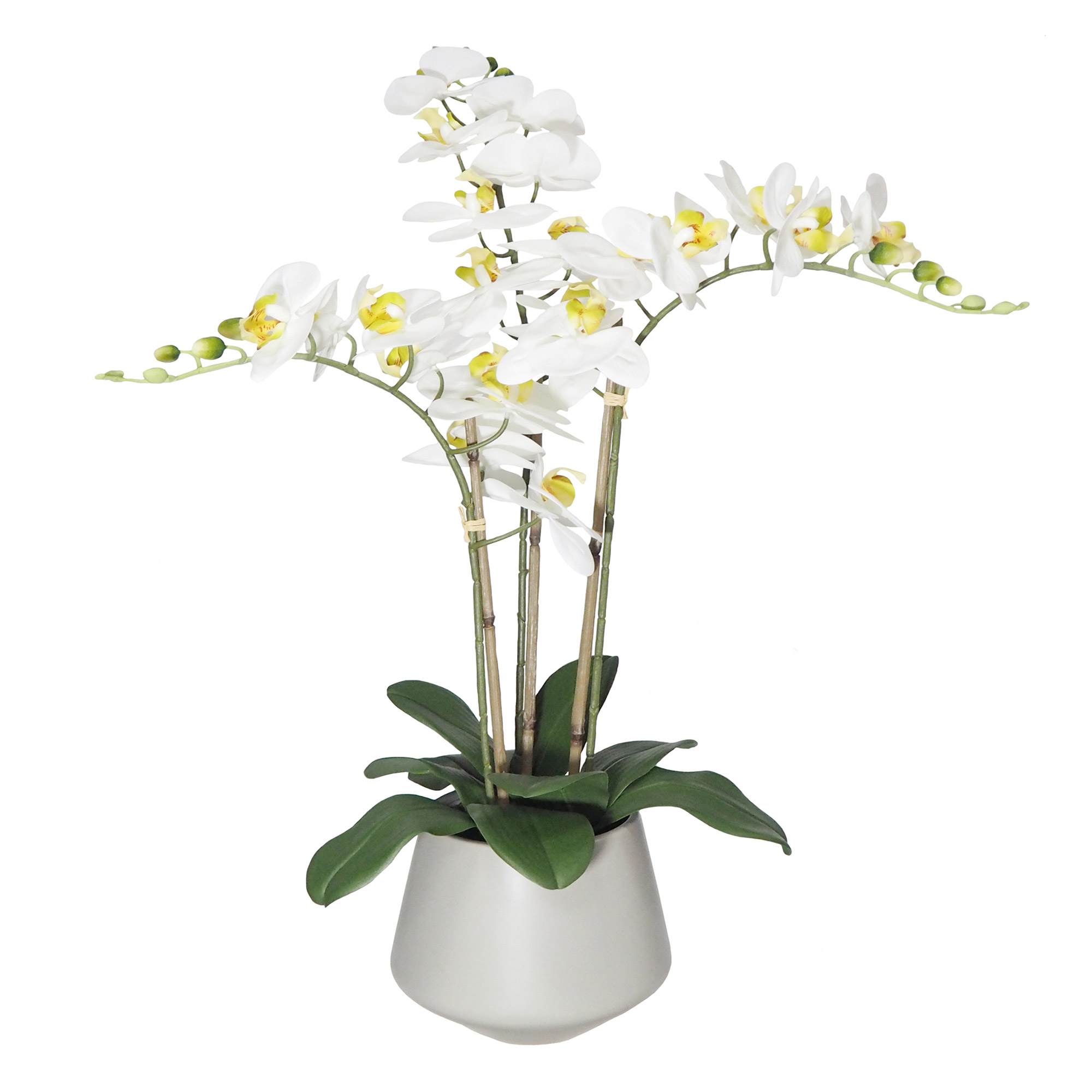 Enlarge Product Preview 3