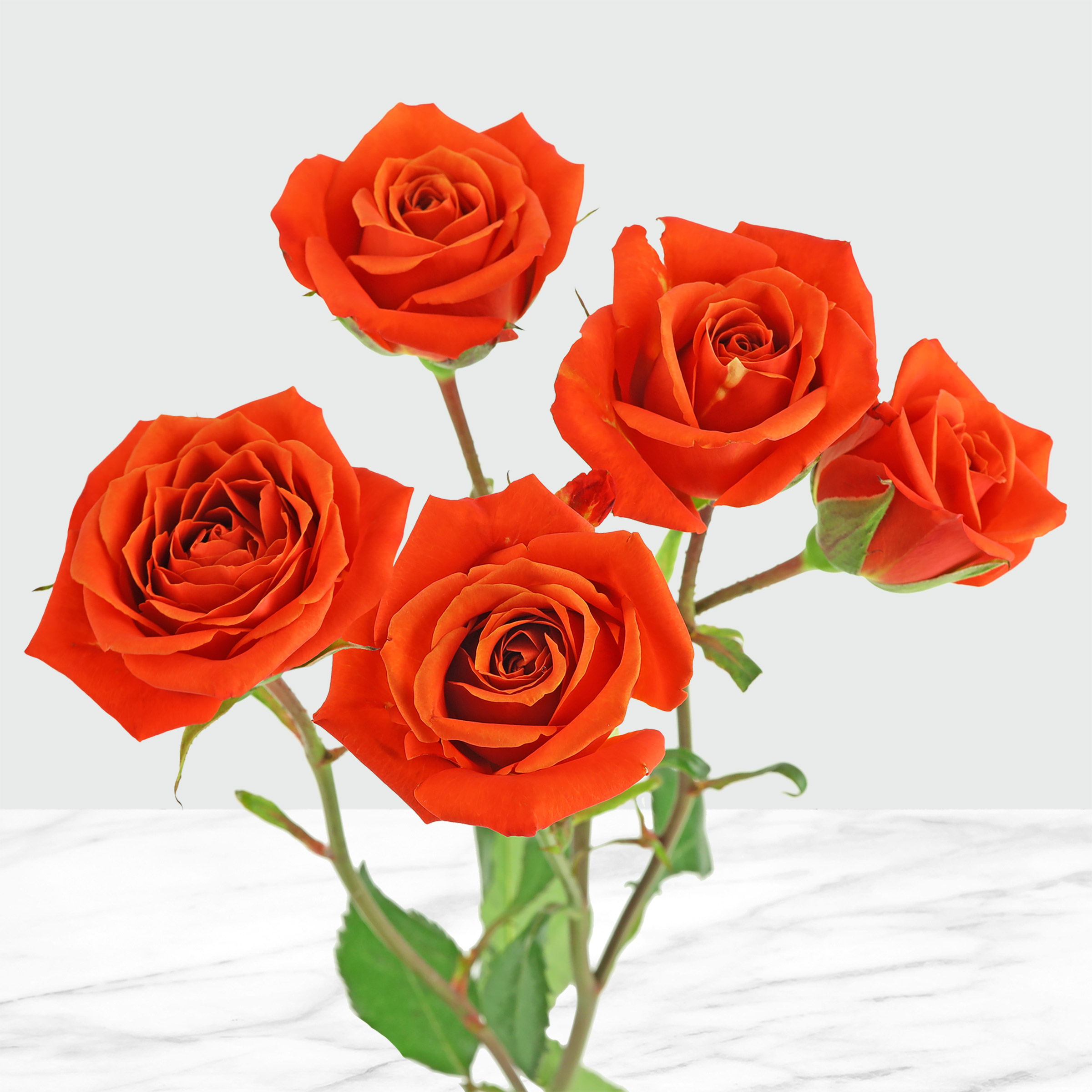 Enlarge Product Preview 4 Successfully Enriched by automation Job.