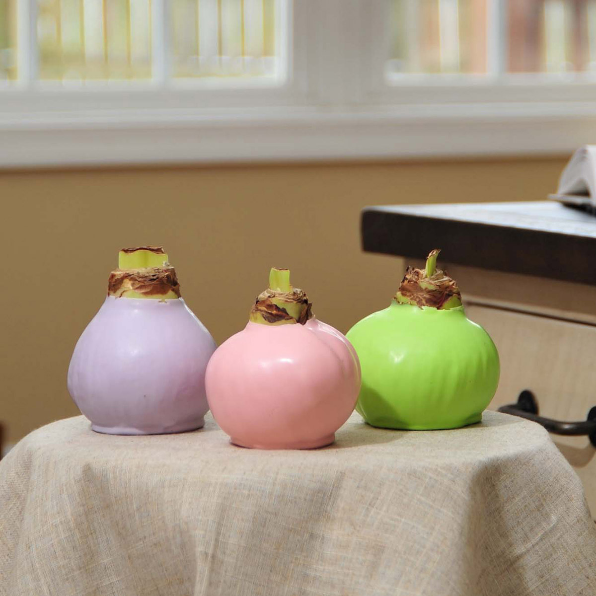 Enlarge Product Preview 2