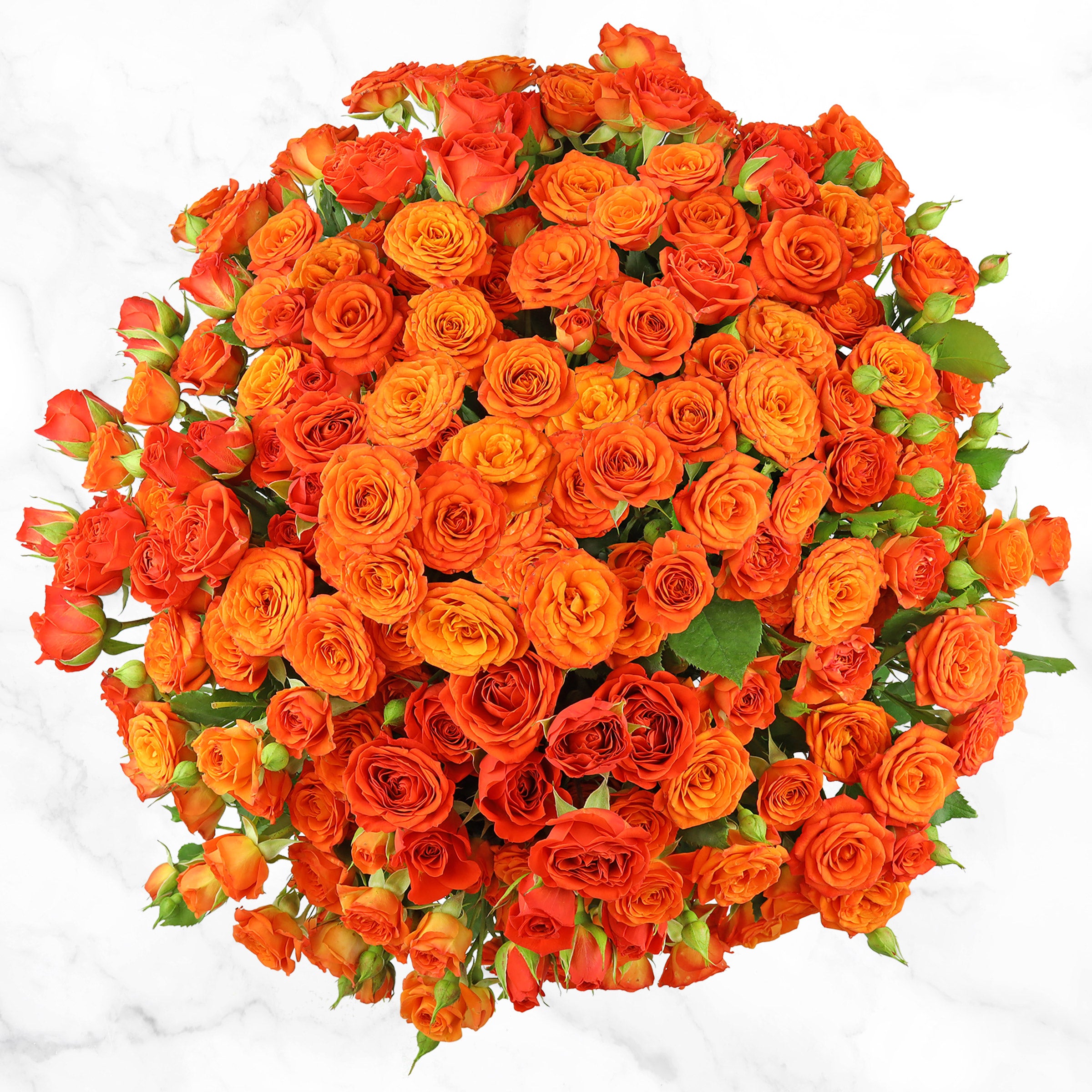 50-stem Spray Roses | Costco