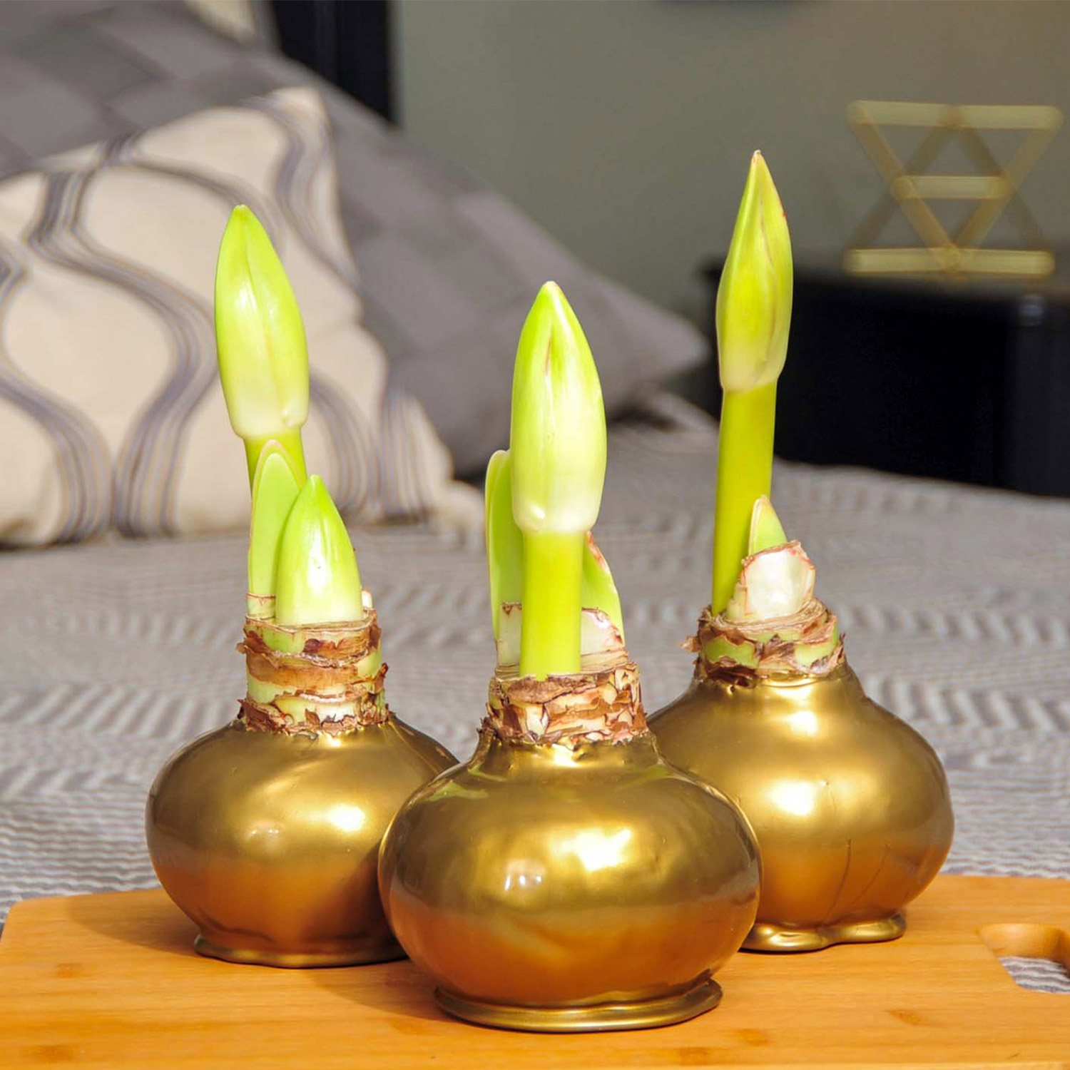 Enlarge Product Preview 2