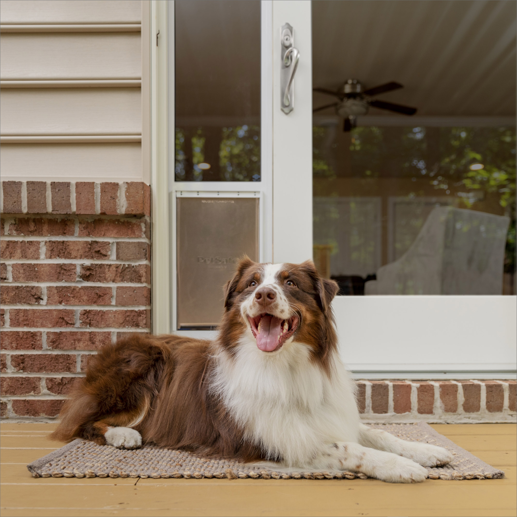 Enlarge Product Preview 2 Successfully Enriched by automation Job.