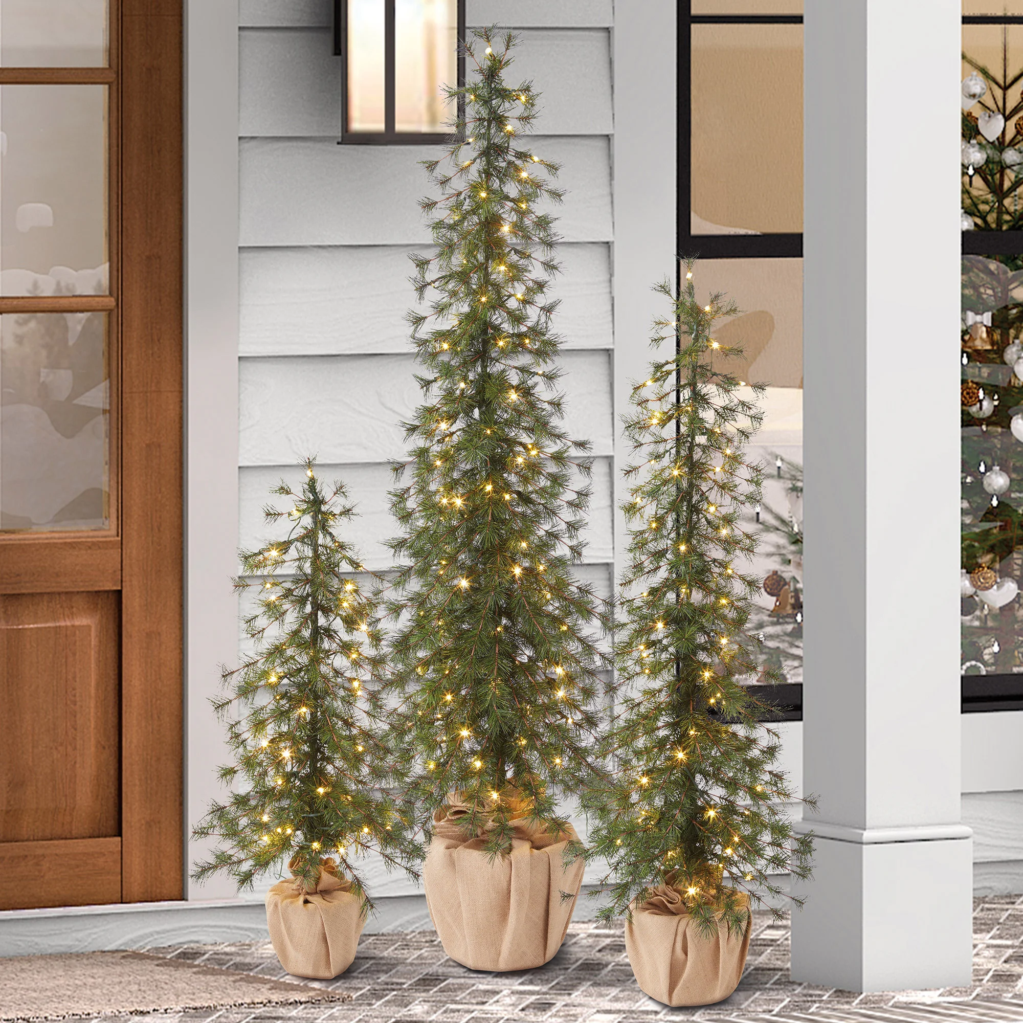 Holiday Alpine Trees with LED lights - Set of 3 | Costco
