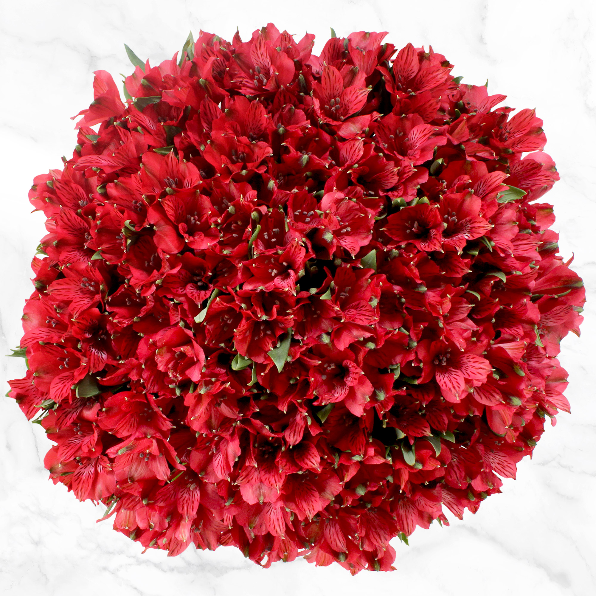 80-stem Alstroemeria