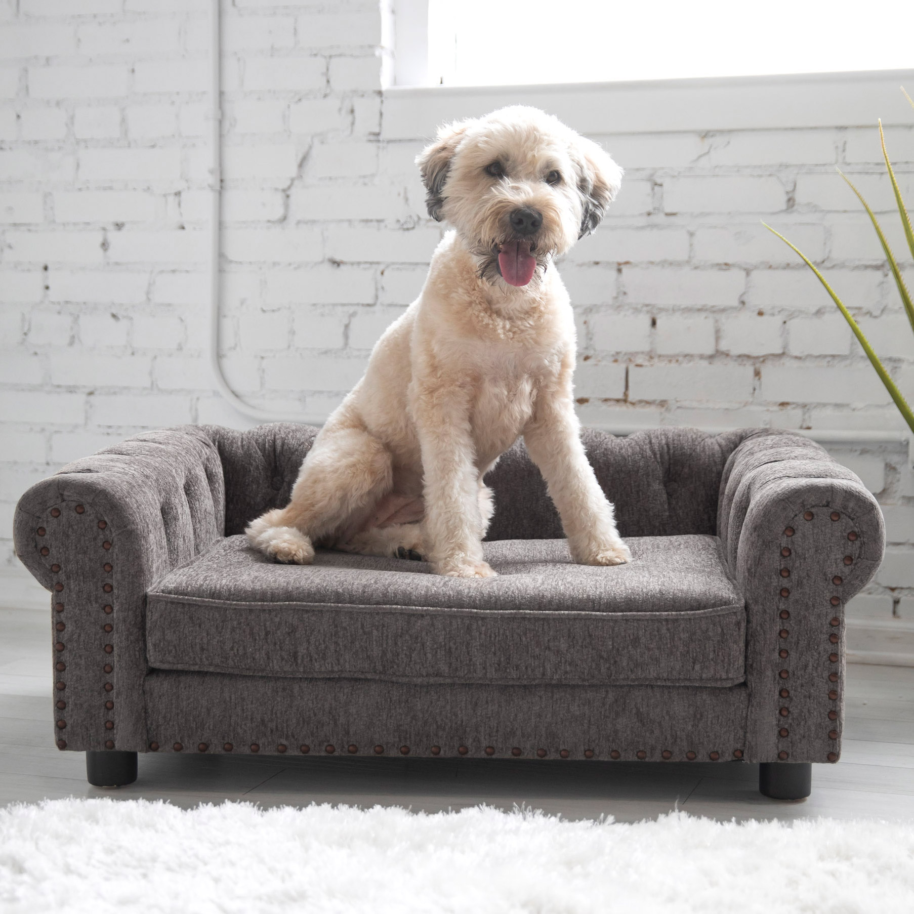 La-Z-Boy Newton Pet Sofa Costco