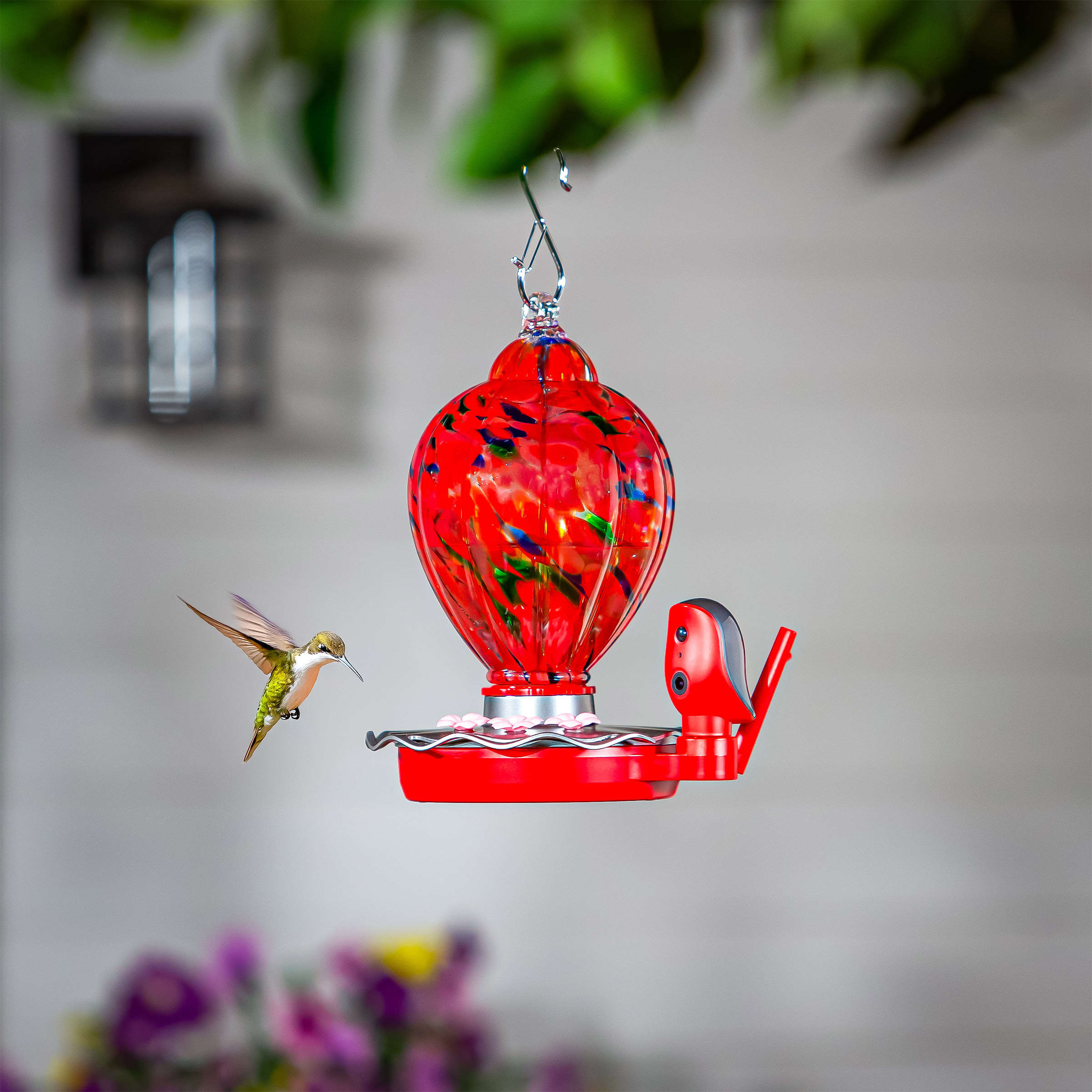 Solar Smart Hummingbird Feeder