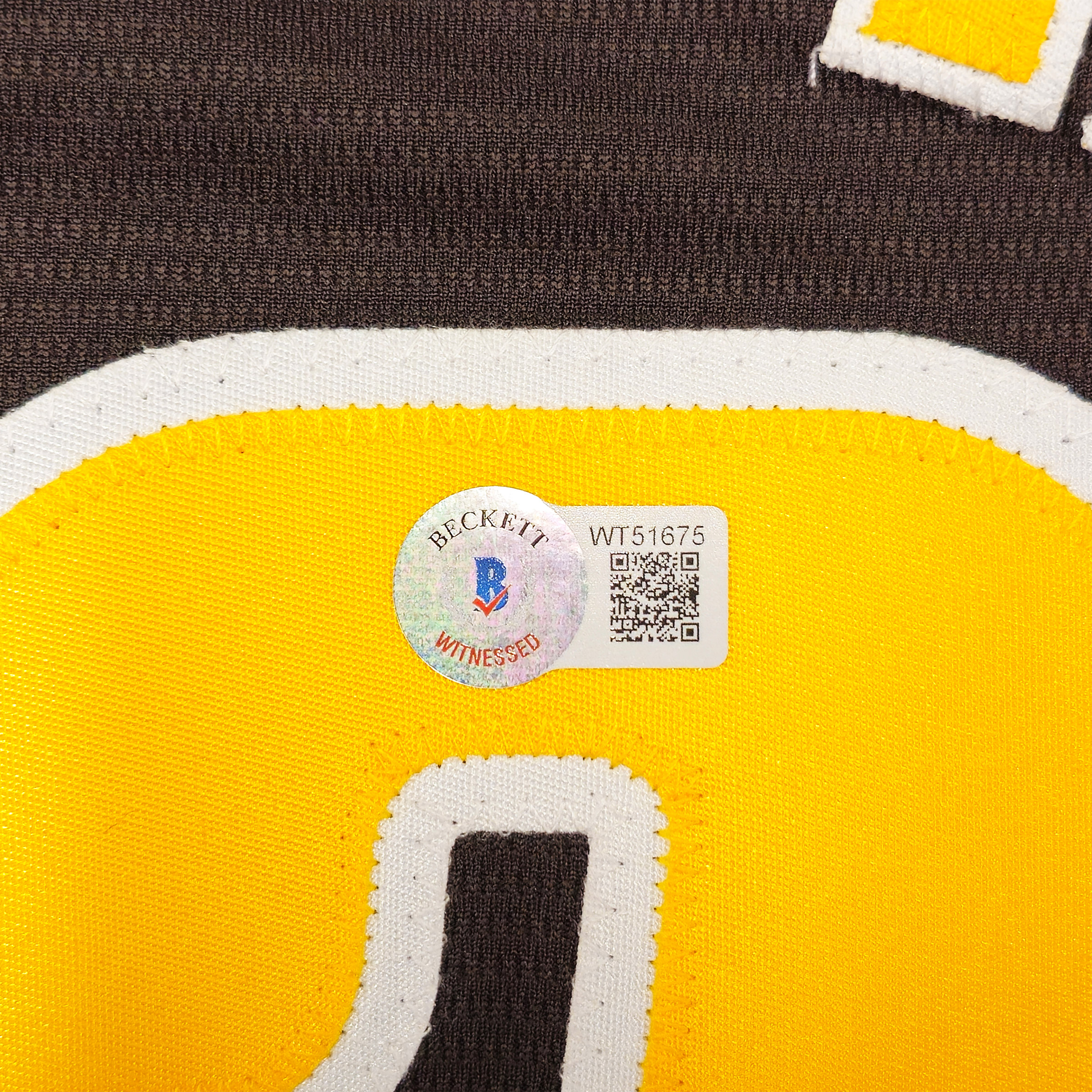 Enlarge Product Preview 4 Successfully Enriched by automation Job.