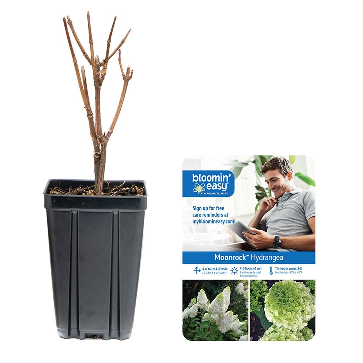 Enlarge Product Preview 4