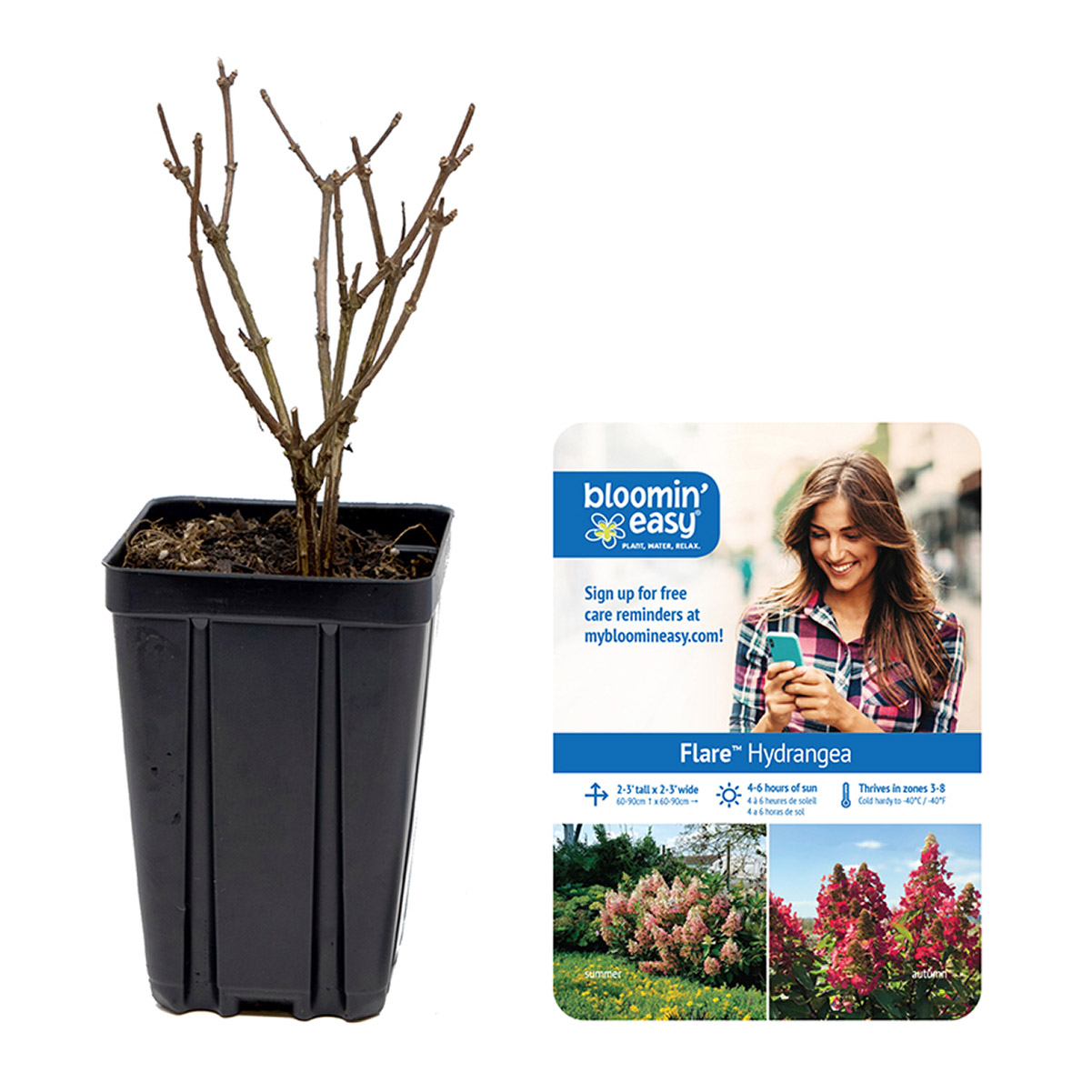 Enlarge Product Preview 7