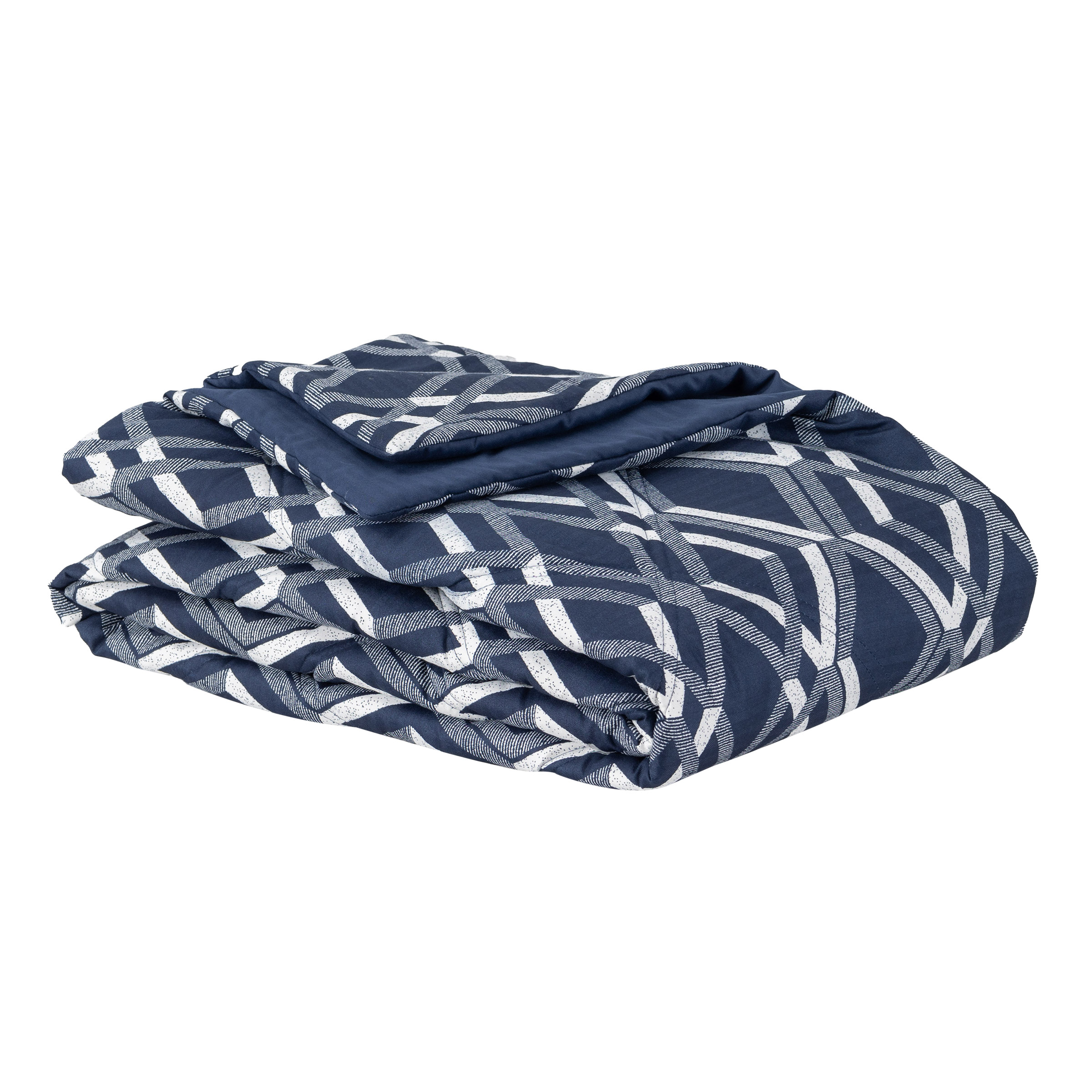 Enlarge Product Preview 4 Successfully Enriched by automation Job.