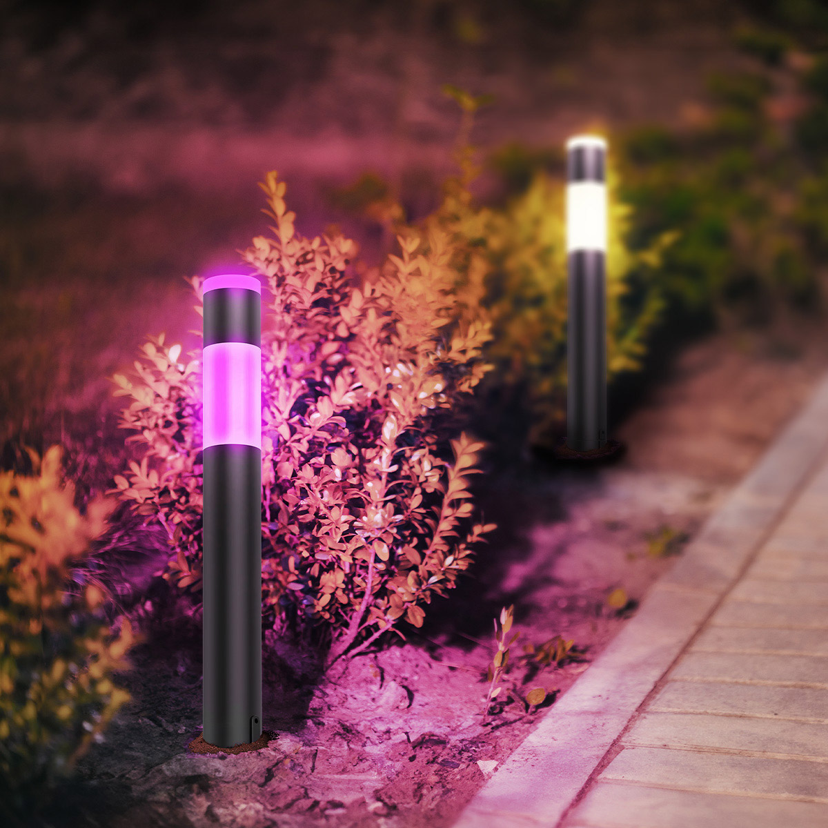 Enlarge Product Preview 7 Successfully Enriched by automation Job.