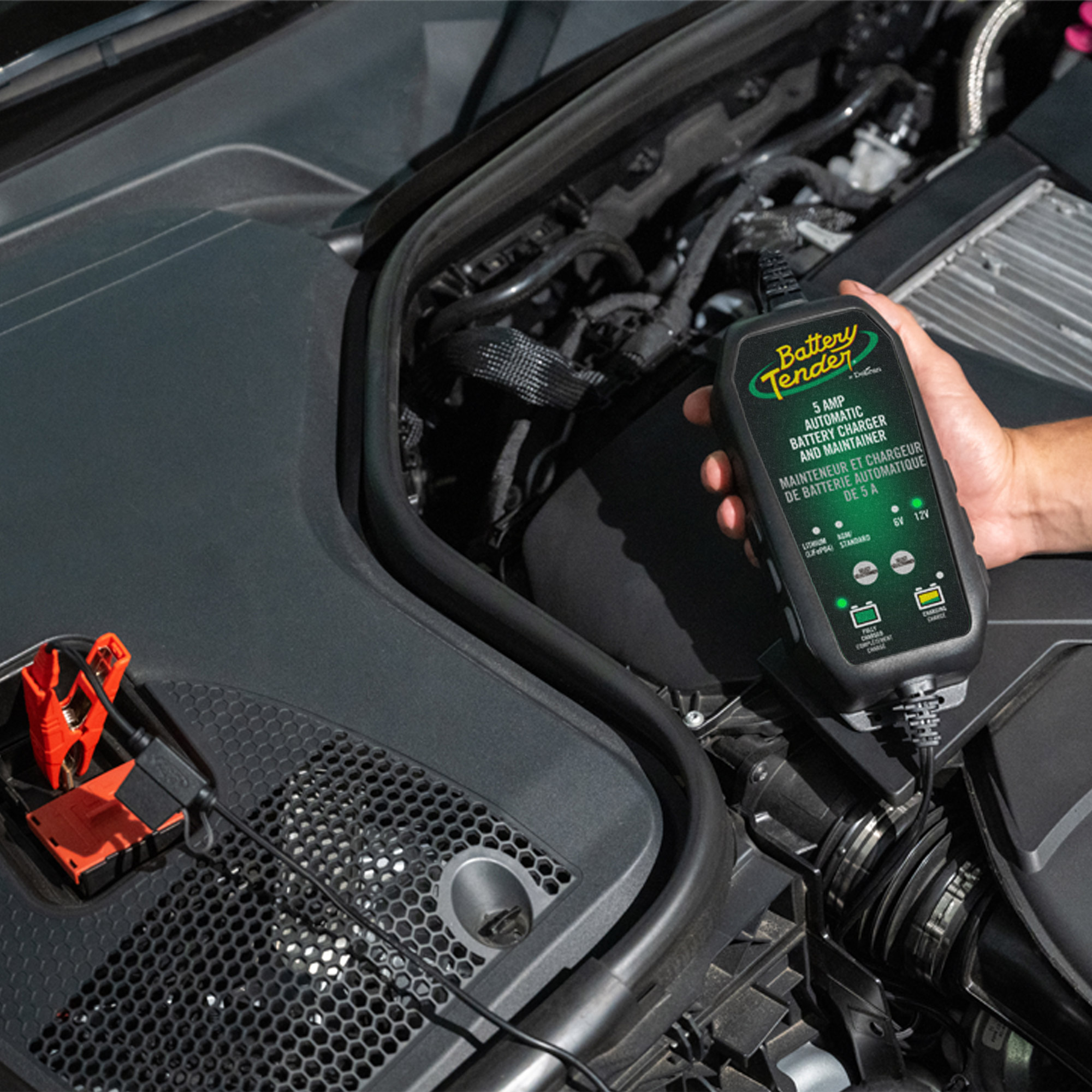 Enlarge Product Preview 3 Successfully Enriched by automation Job.